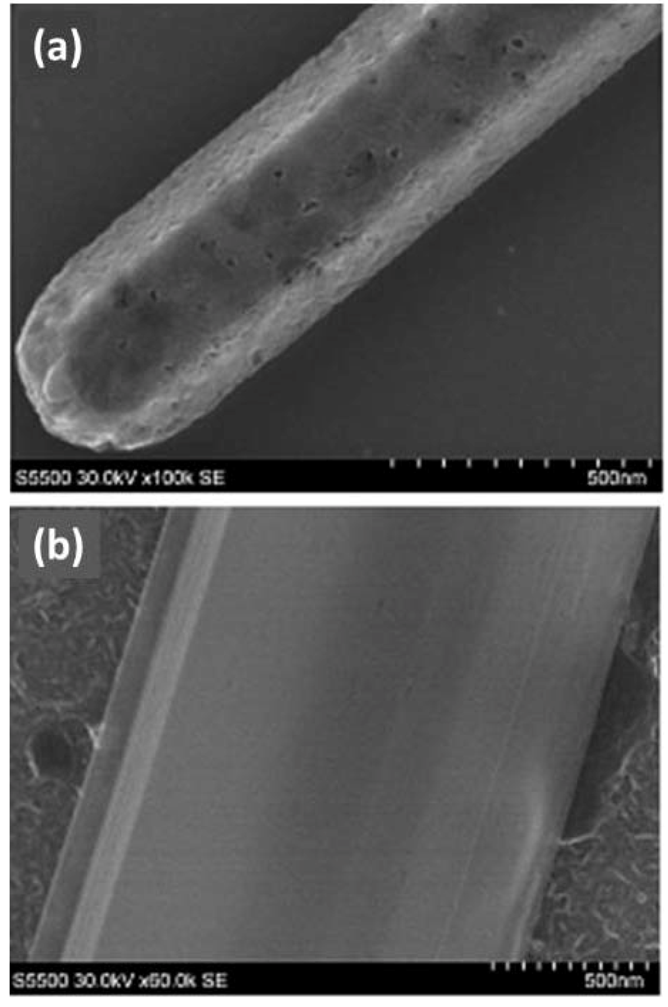 Molecules 17 06840 g008