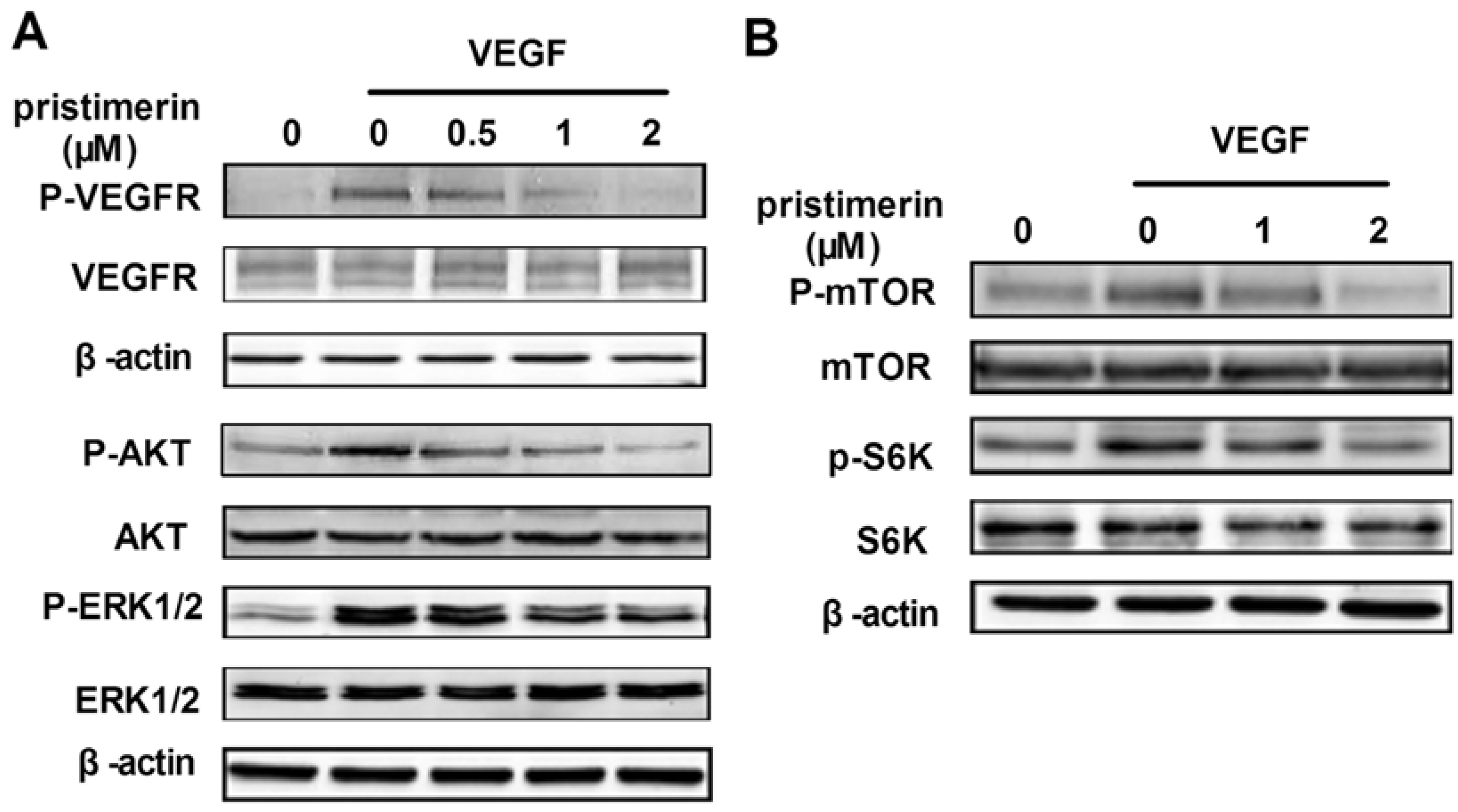 Molecules 17 06854 g005 550