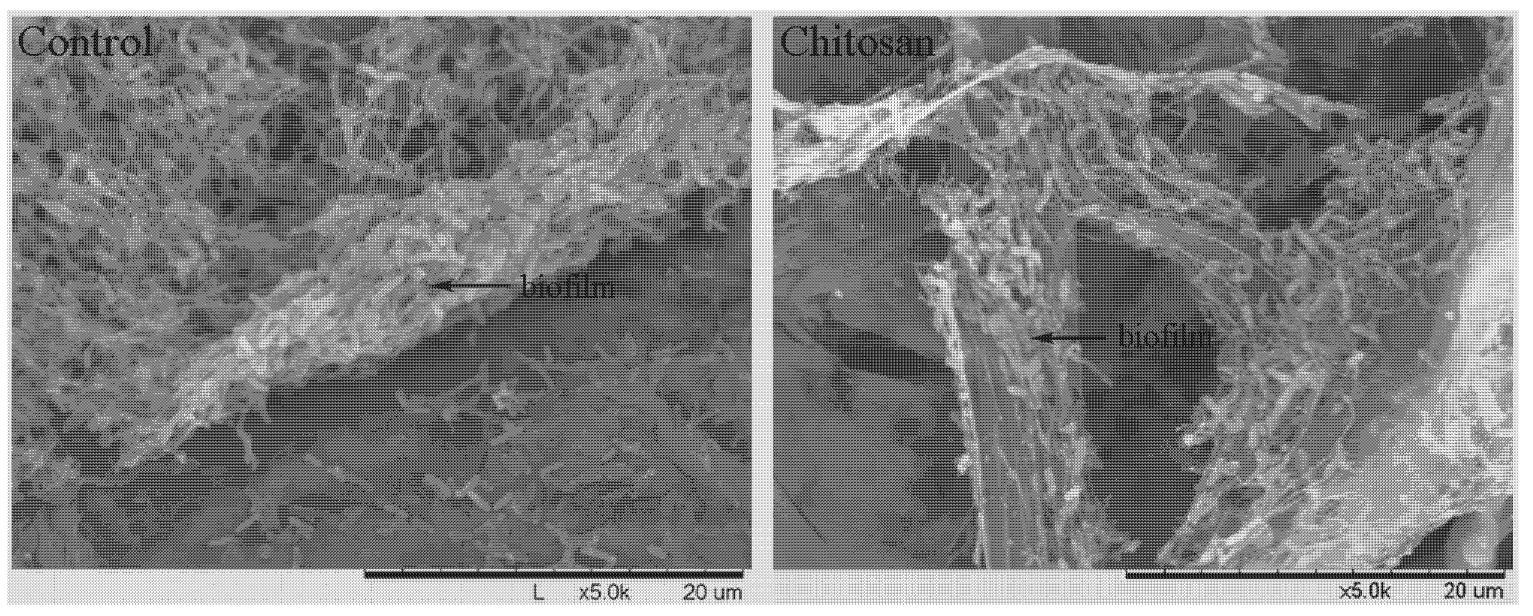 Molecules 17 07028 g001 550
