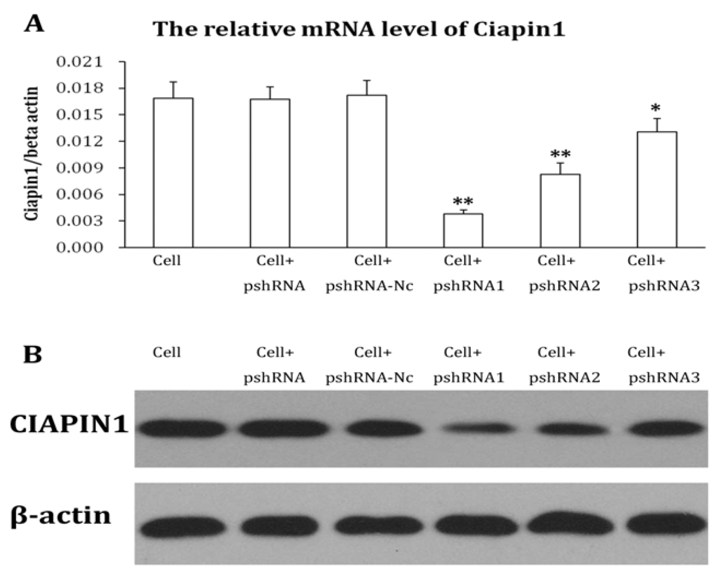 Molecules 17 07595 g003 Molecules 17 07595 g003