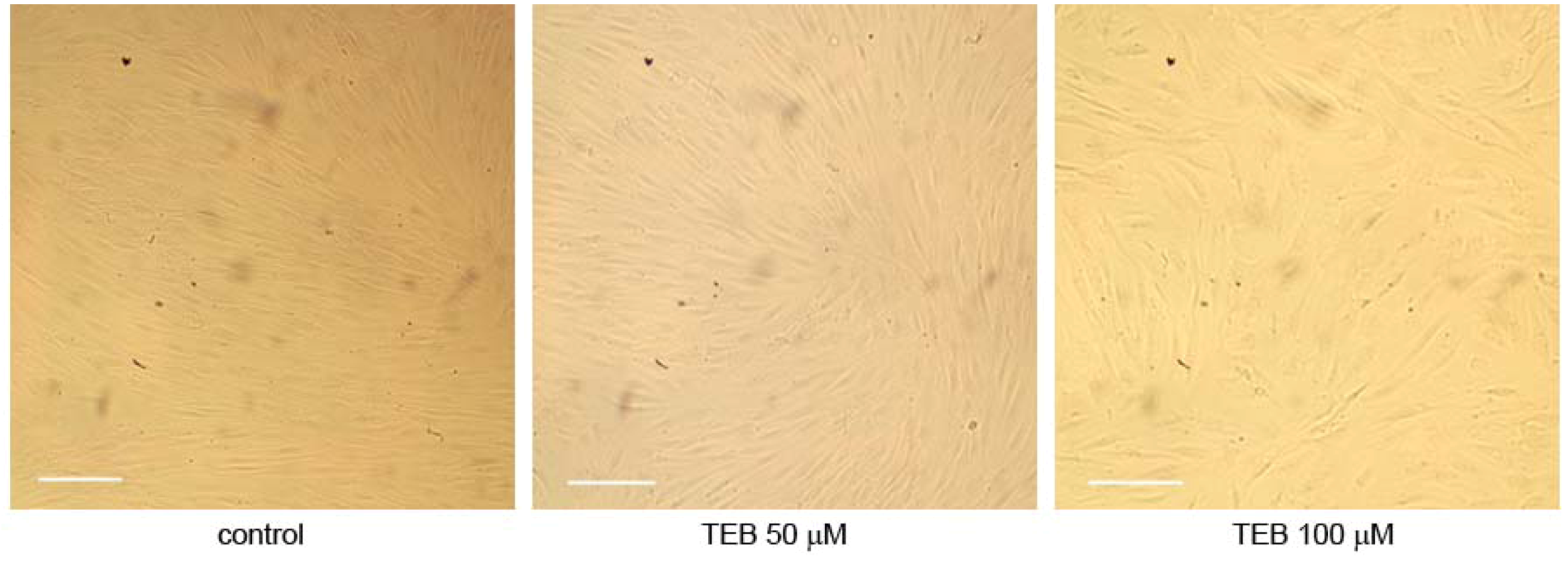 Molecules 17 07864 g005 550