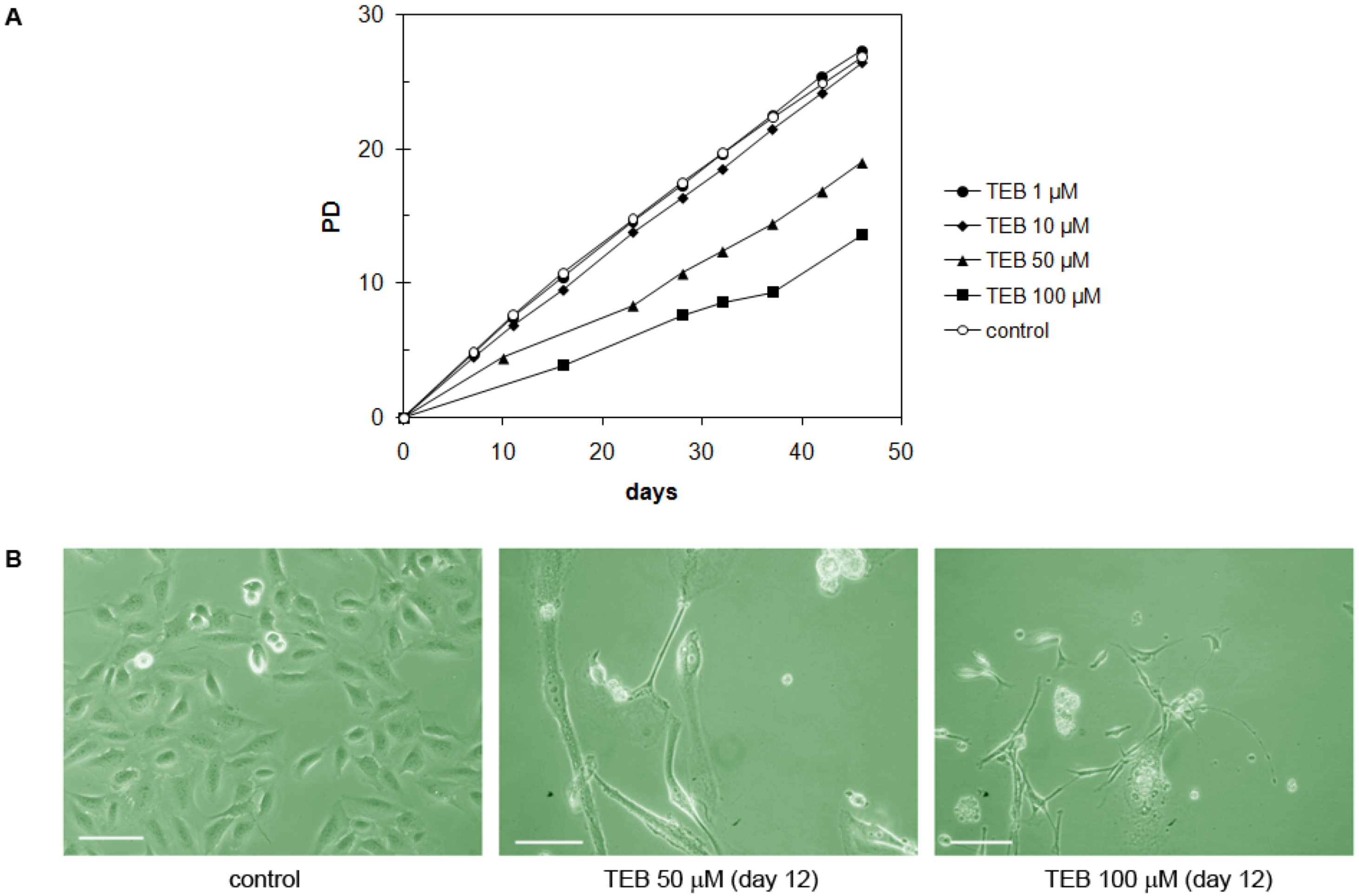 Molecules 17 07864 g009 550