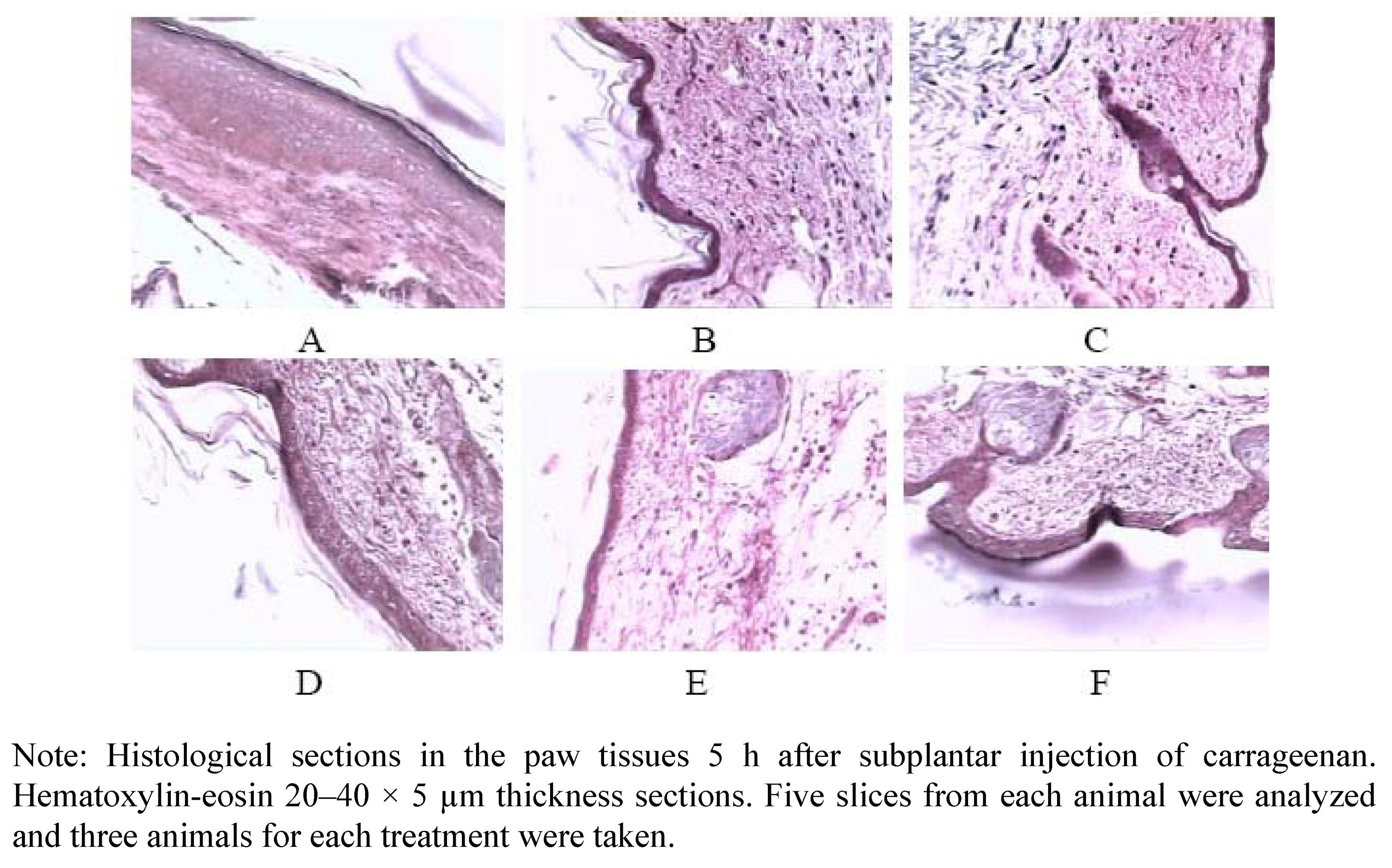 Molecules 17 08842 g002