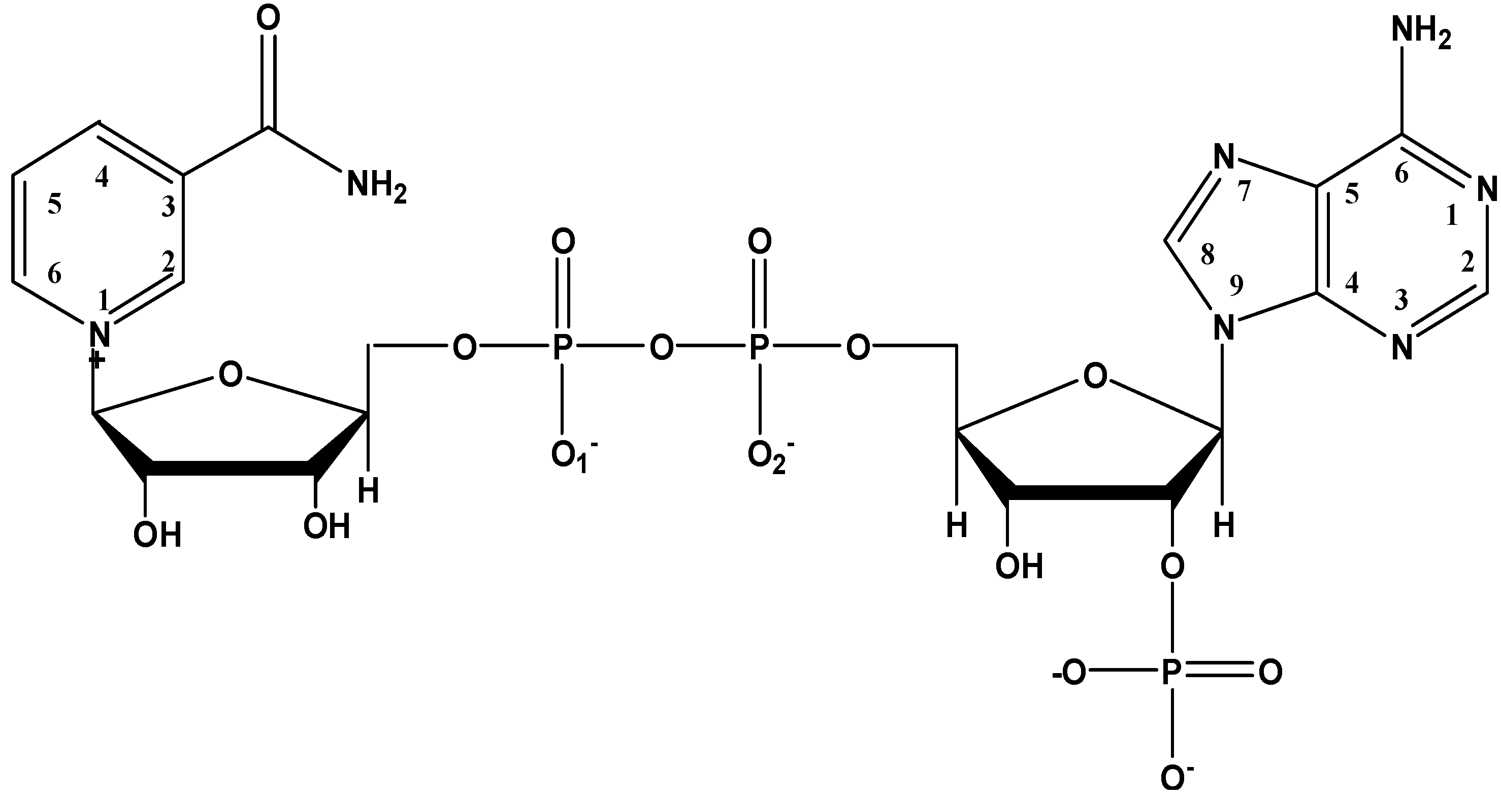 Molecules 17 09379 g002 550