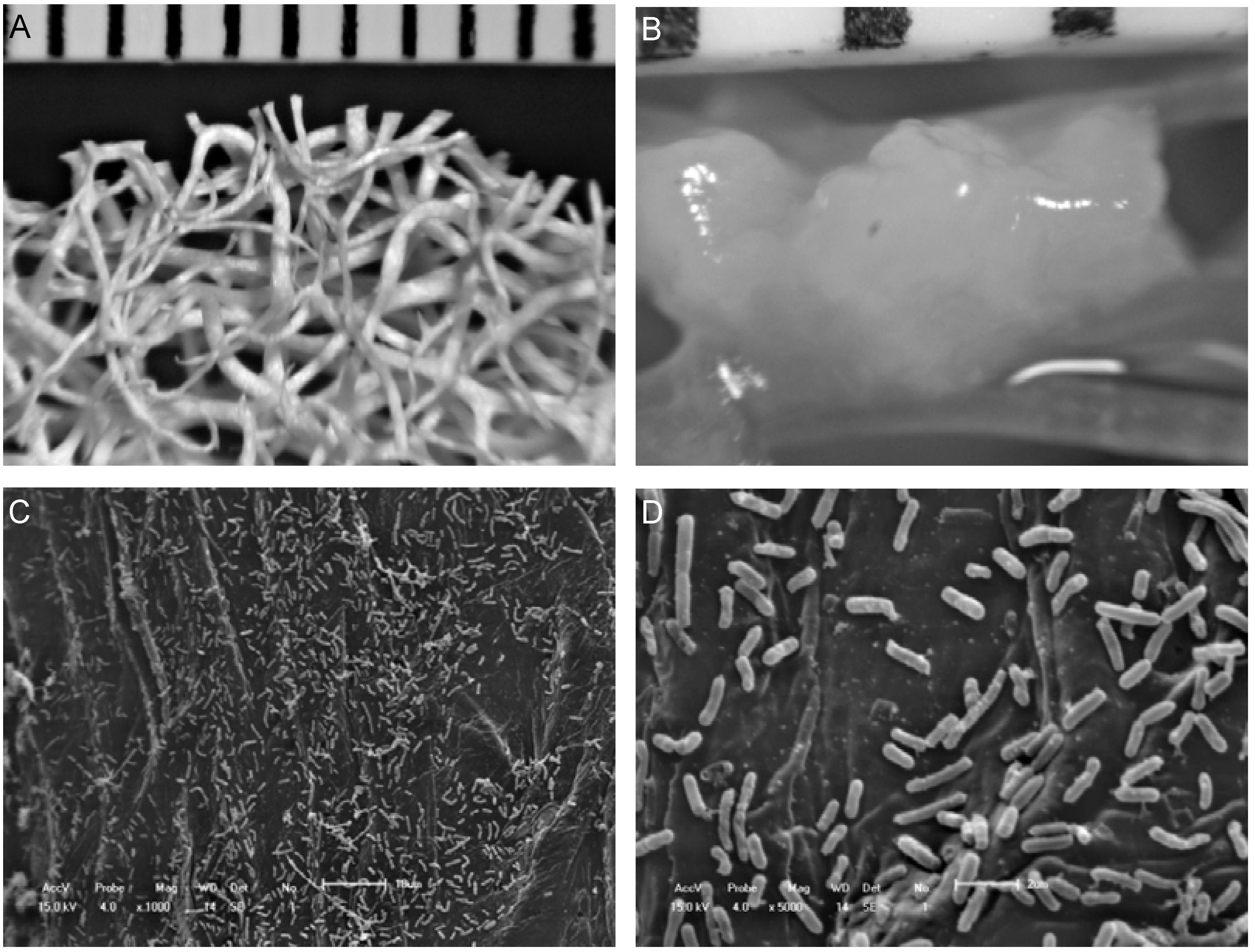 Molecules 17 09476 g001 550