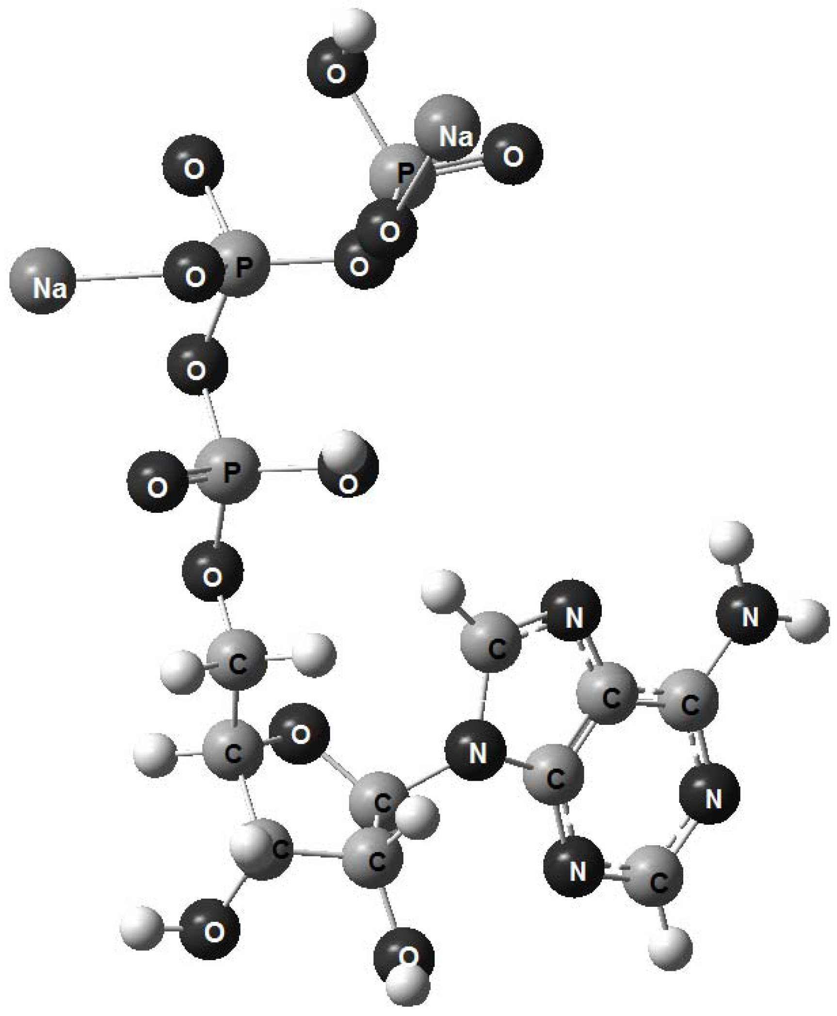 Molecules 17 09489 g003