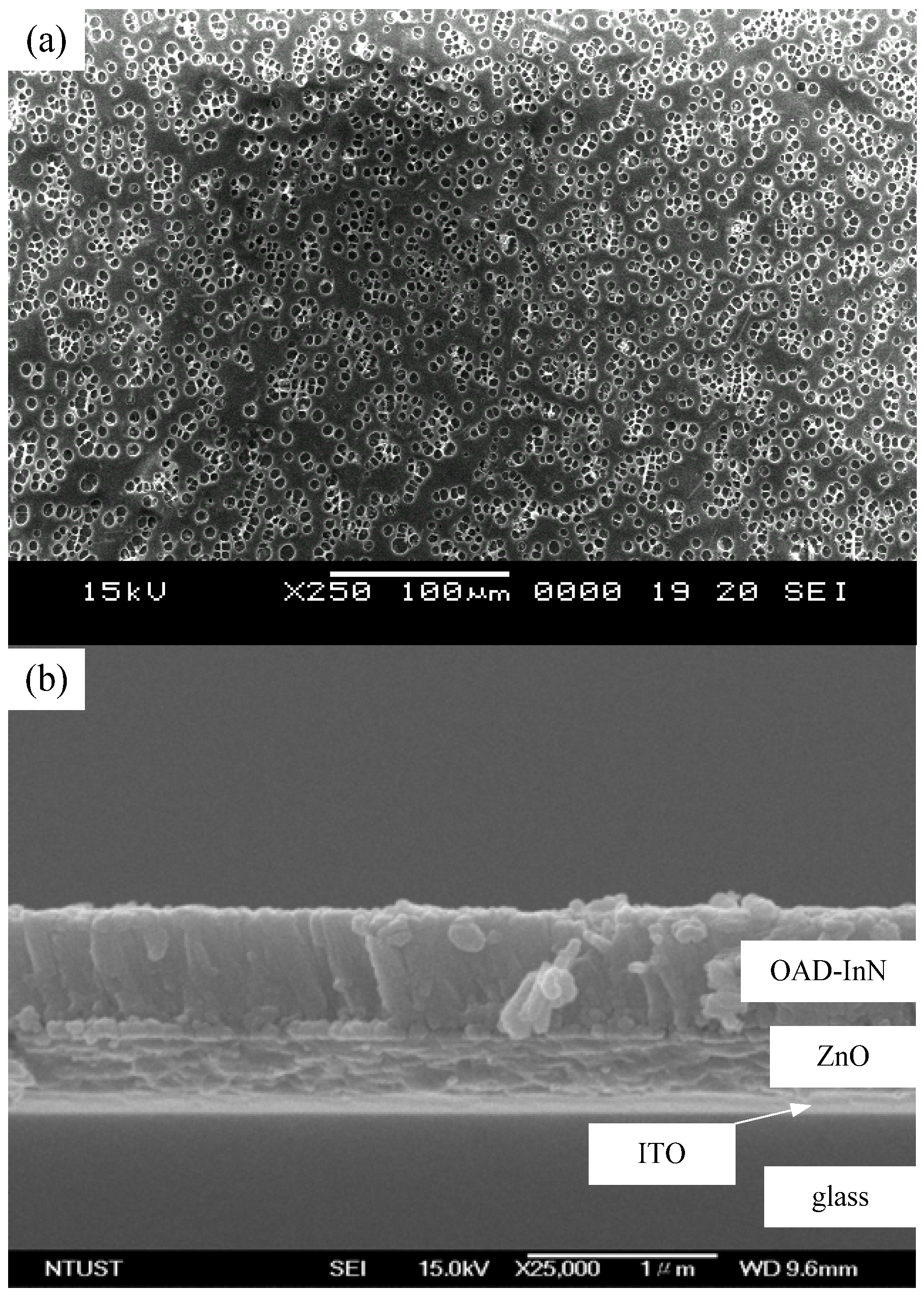 Molecules 17 09496 g003 550