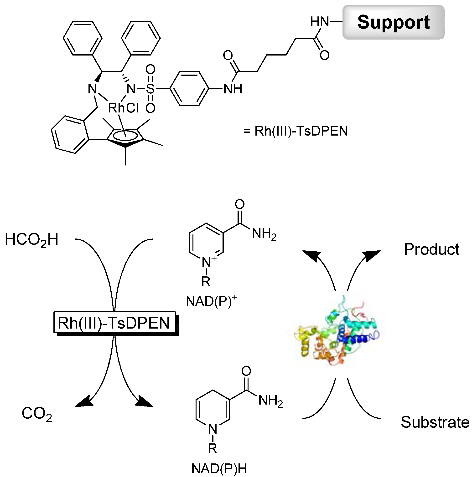 Molecules 17 09835 g004