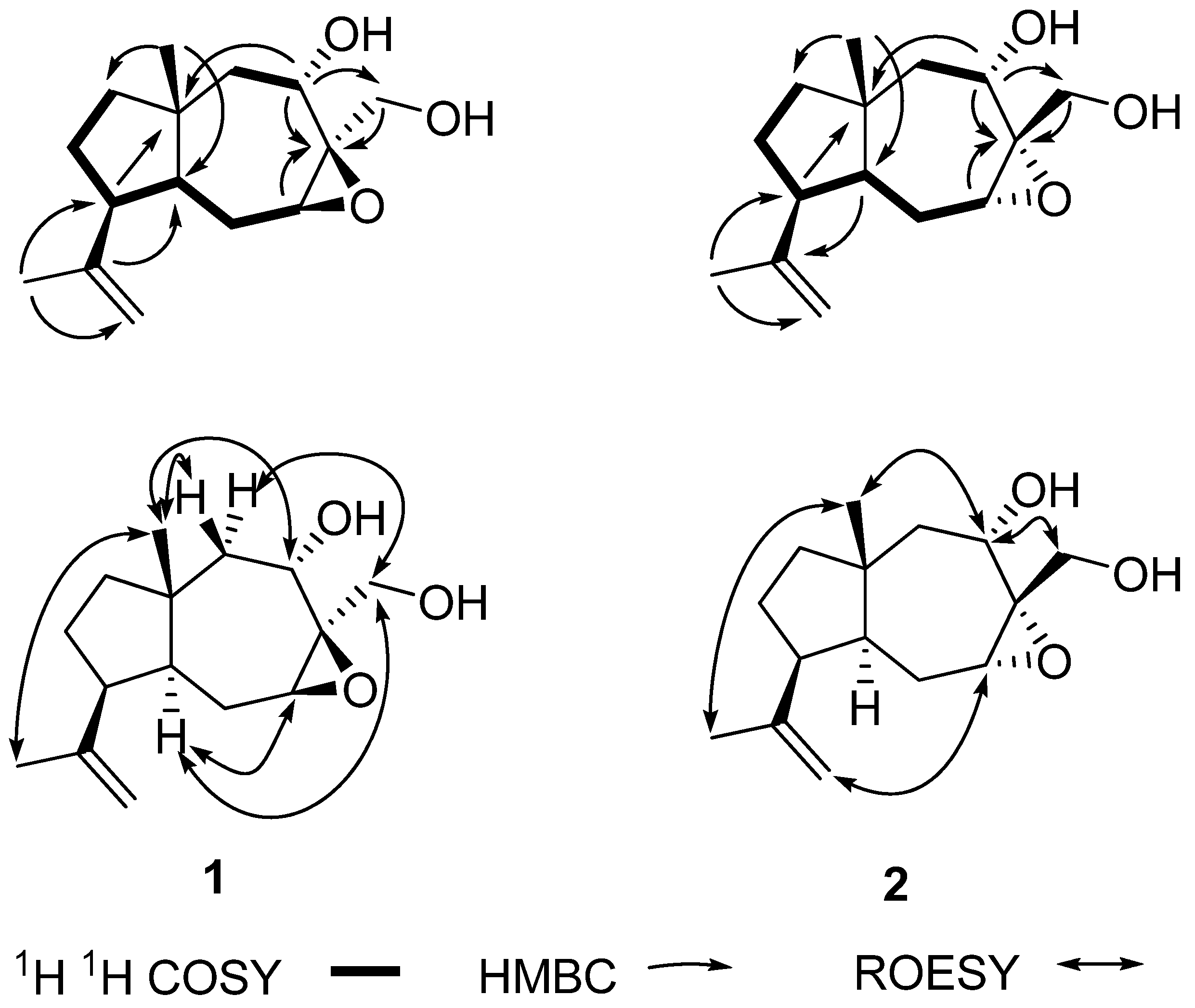 Molecules 17 10046 g001 550