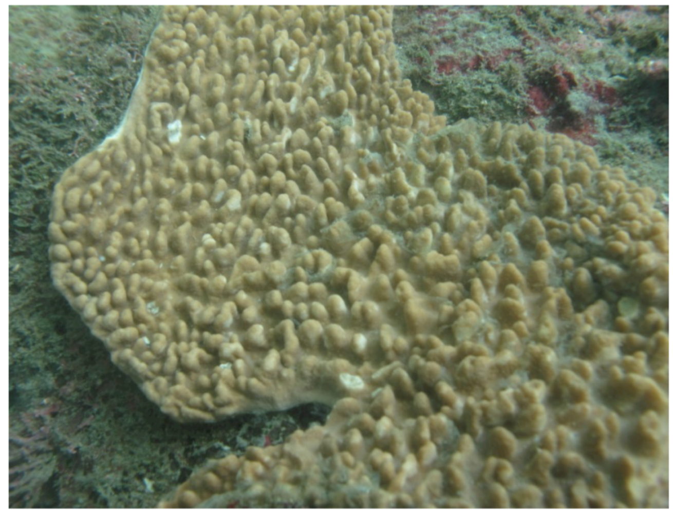 Molecules 17 10072 g001