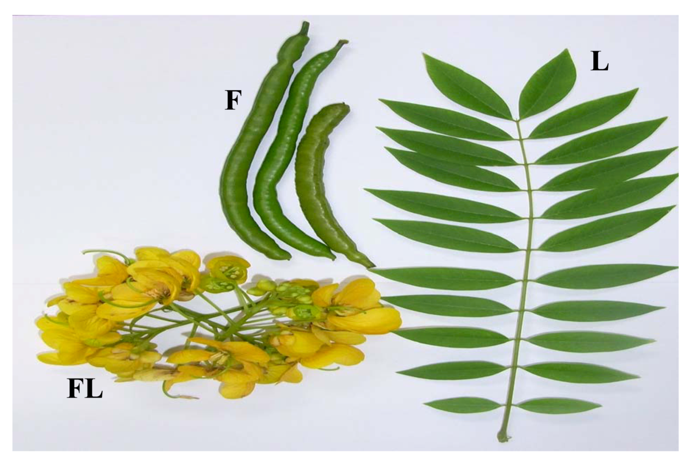 Molecules 17 10292 g001 550