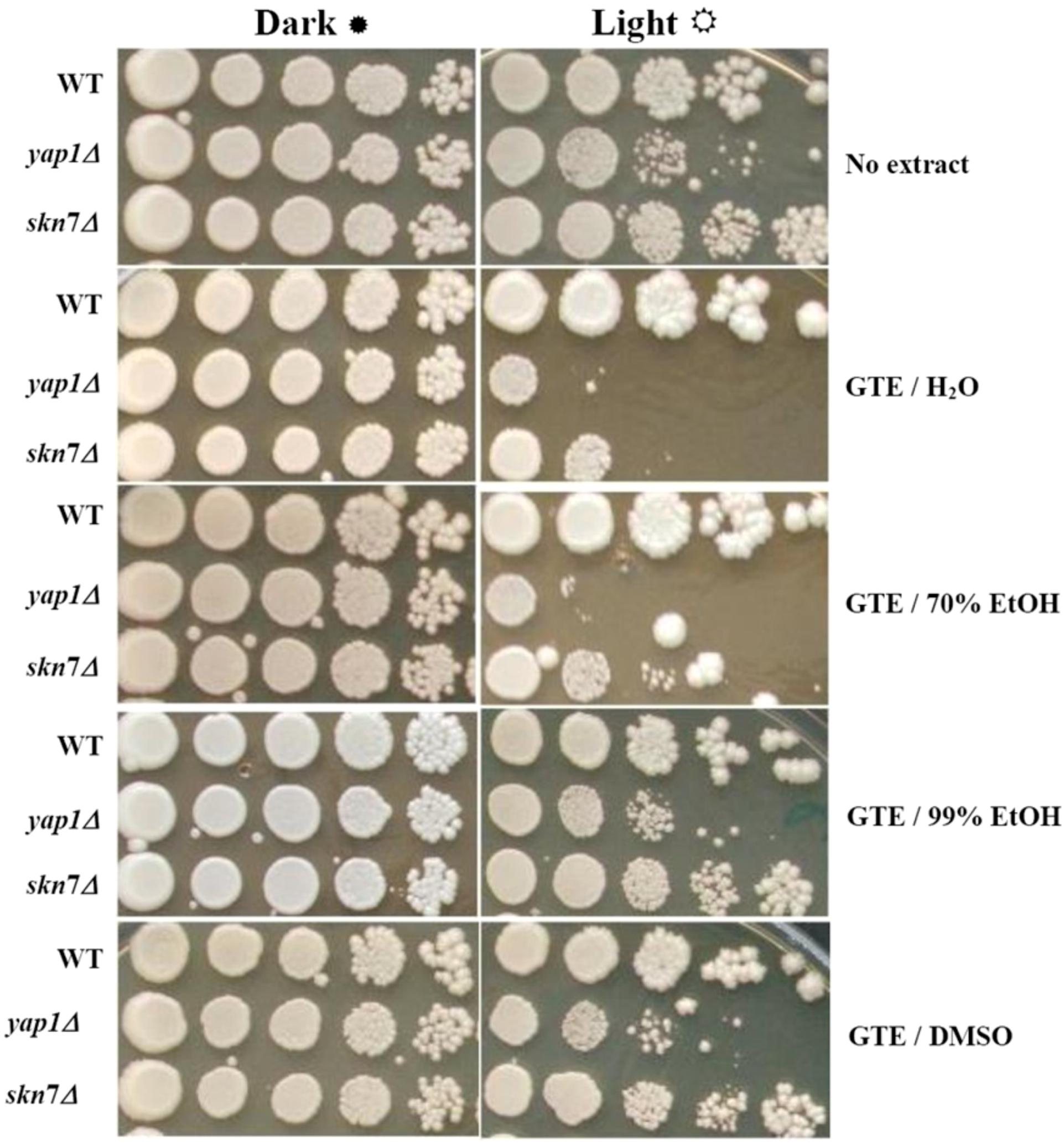 Molecules 17 10355 g001