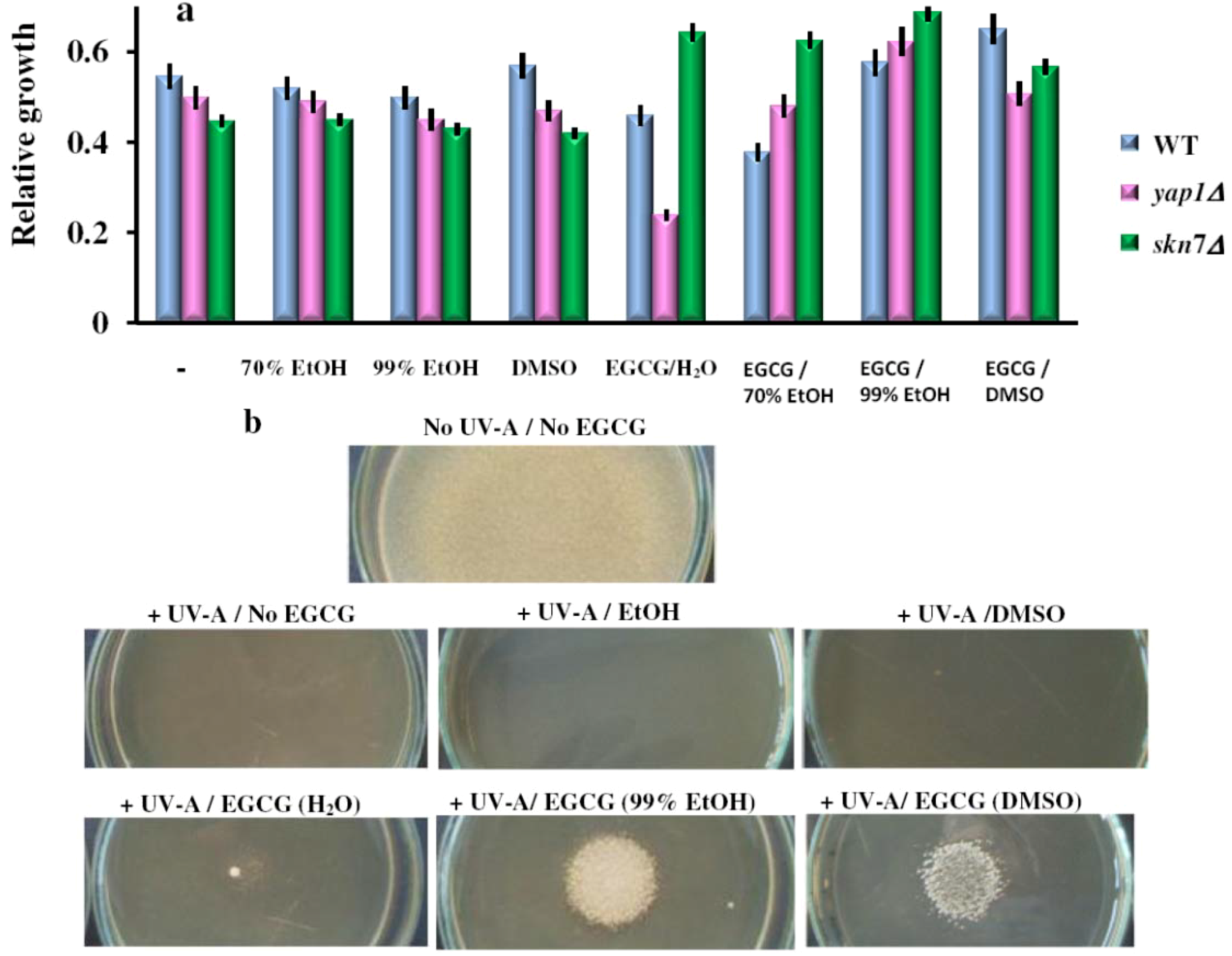 Molecules 17 10355 g006