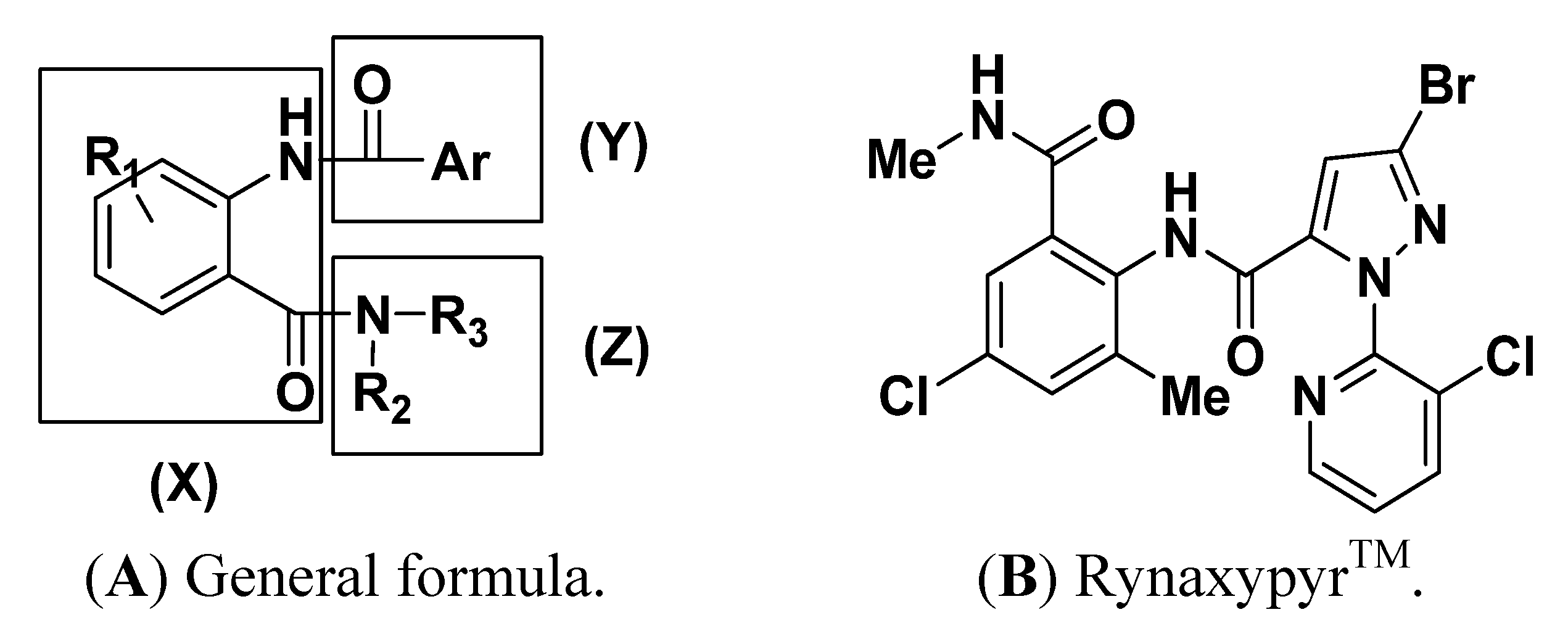 Synthesis, Structure and Insecticidal Activities of Some