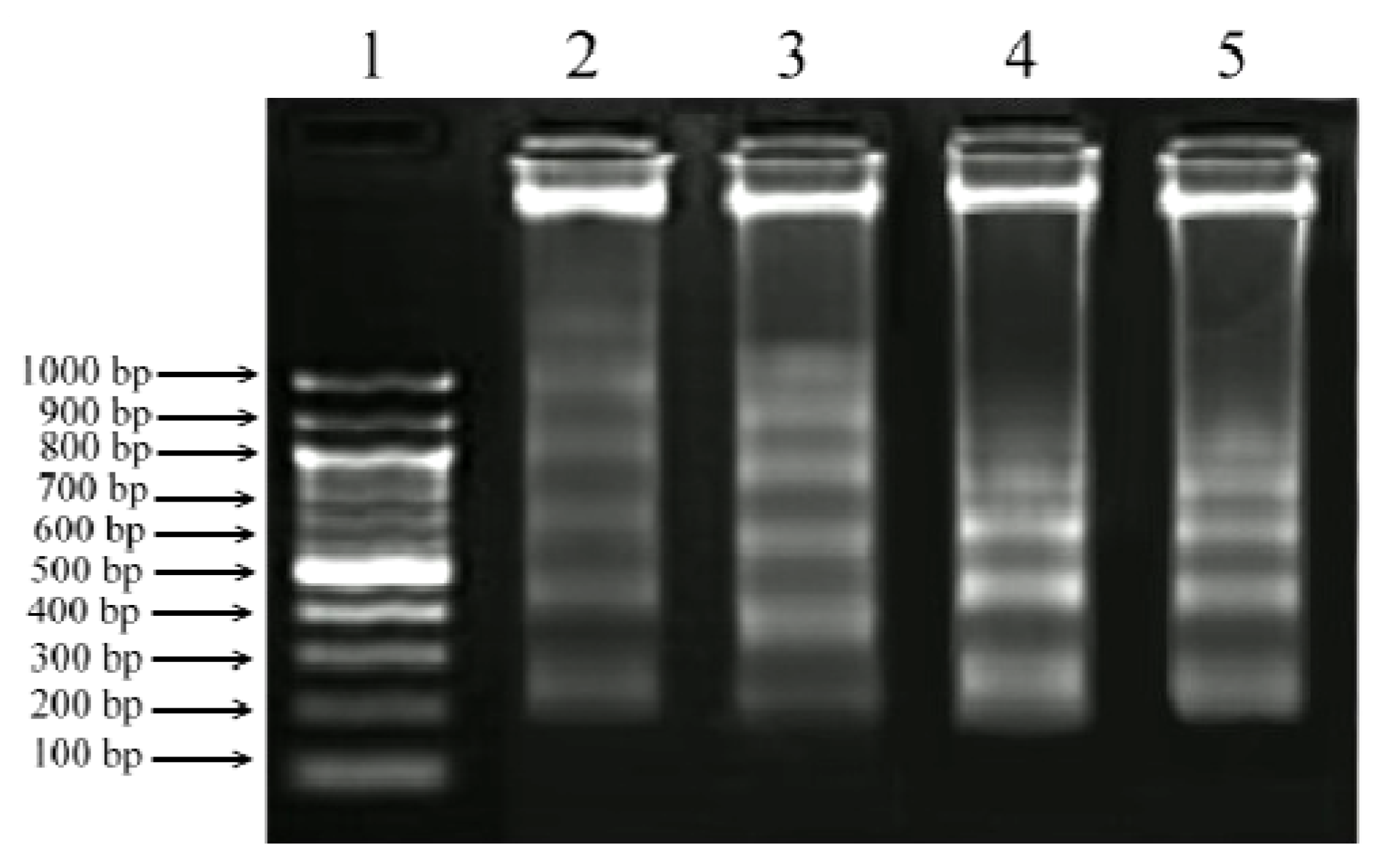 Molecules 17 10816 g006 550