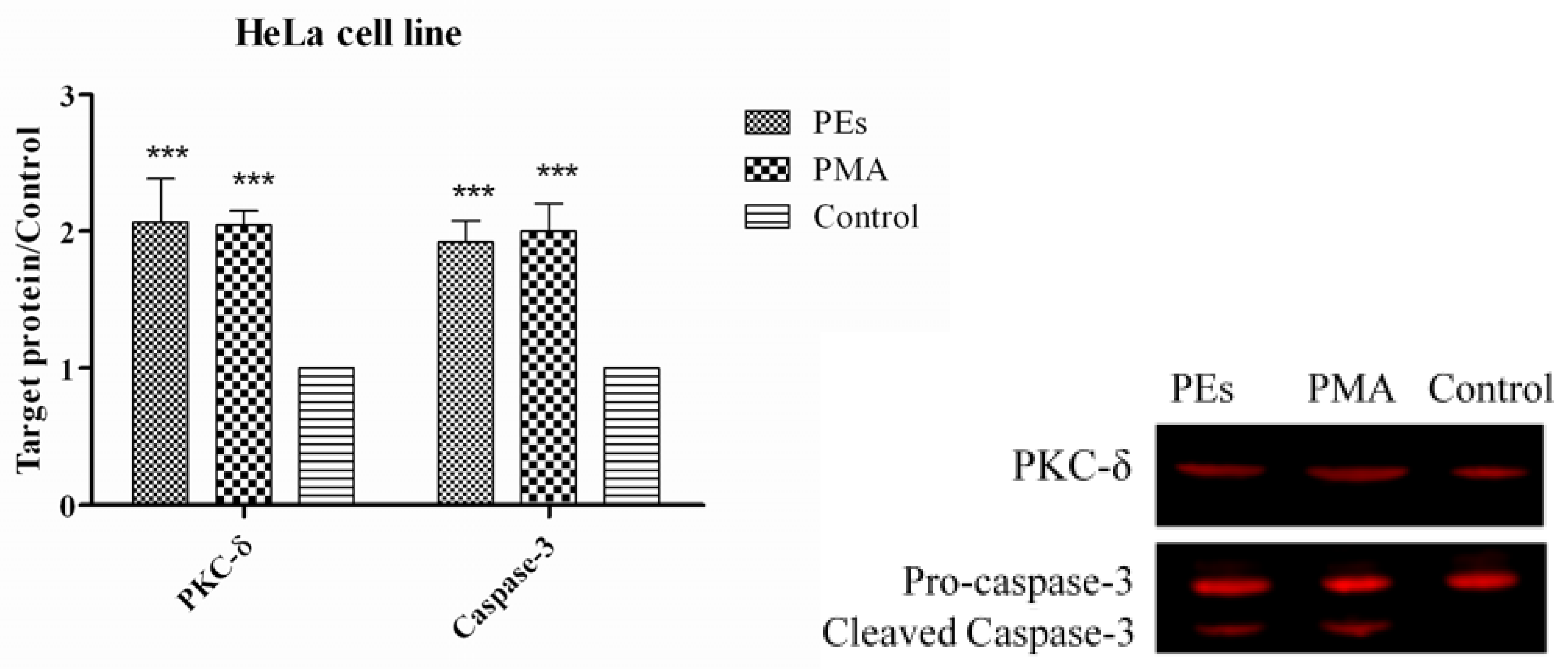 Molecules 17 10816 g008 550