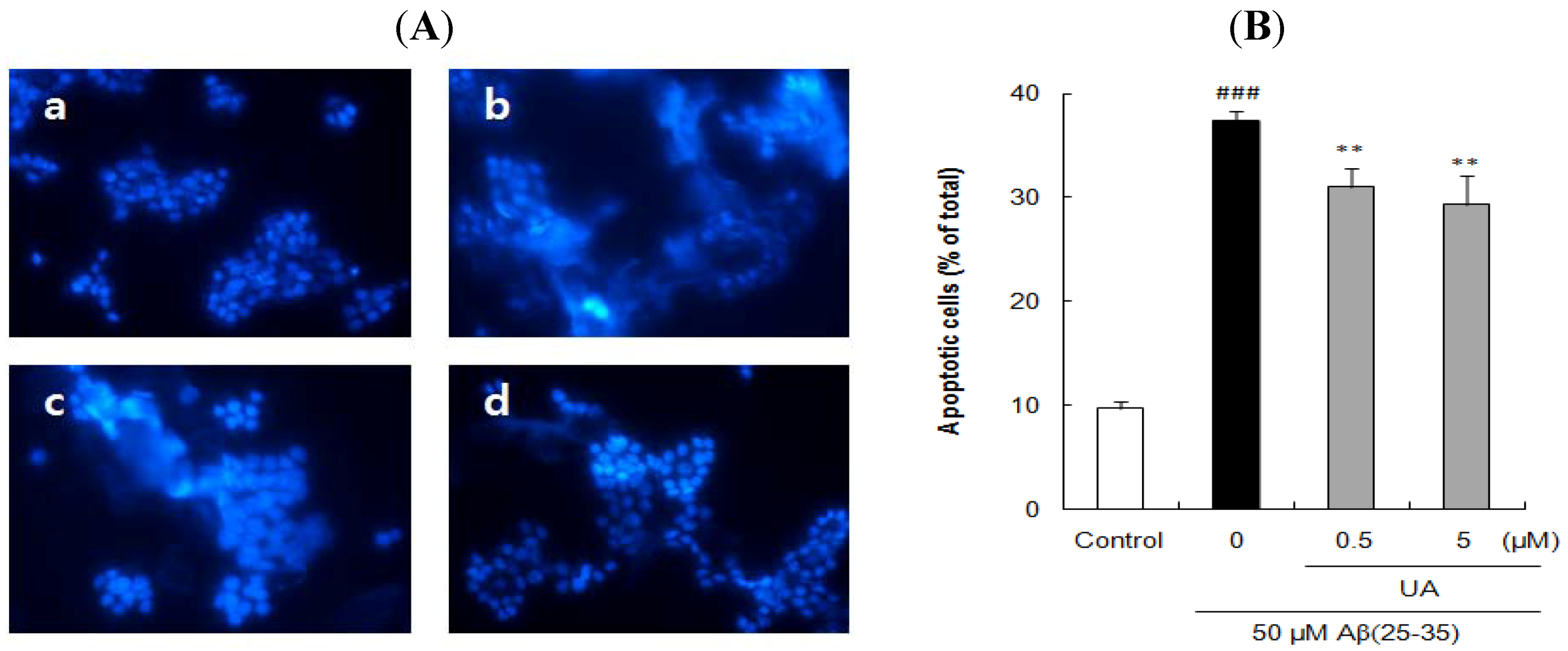 Molecules 17 10831 g004