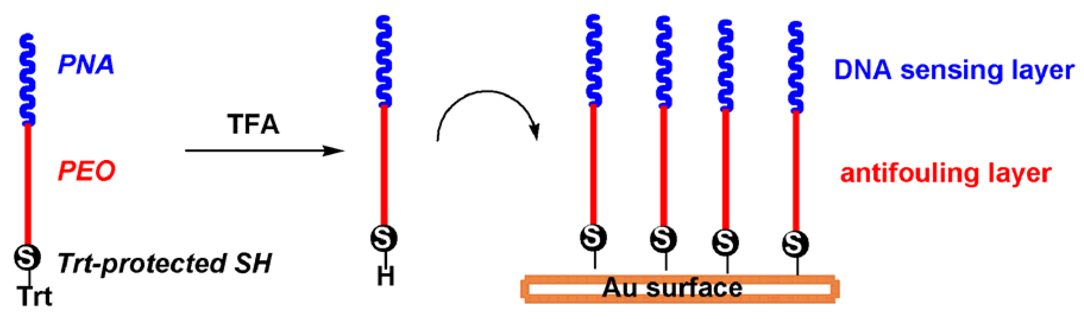 Molecules 17 11026 g007