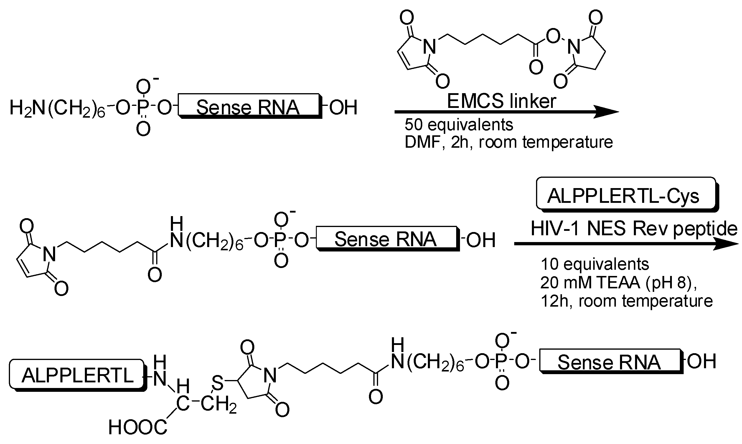Molecules 17 11089 g005
