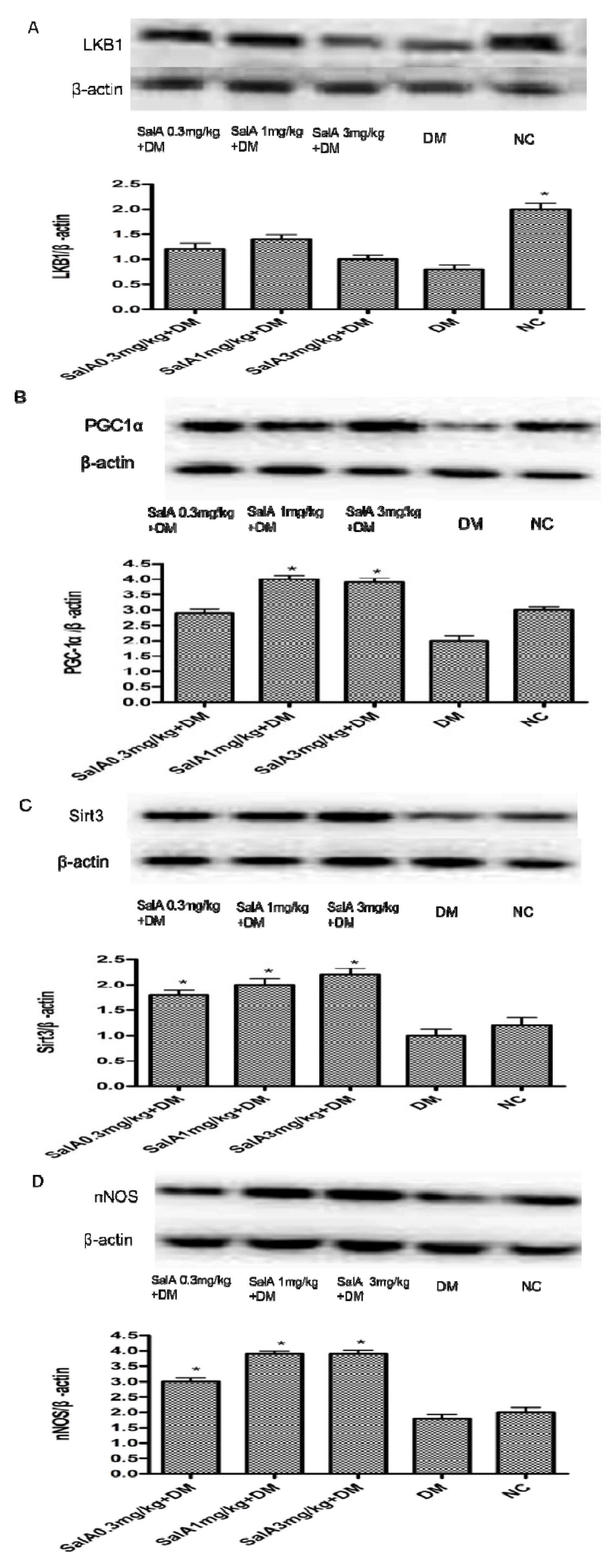 Molecules 17 11216 g005