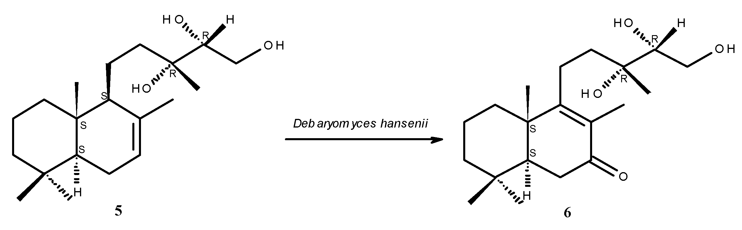 Molecules 17 11229 g003
