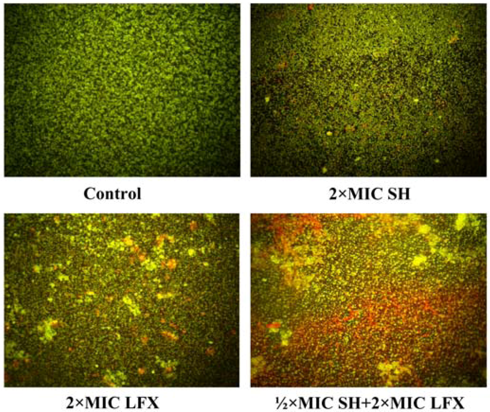 Molecules 17 11242 g005