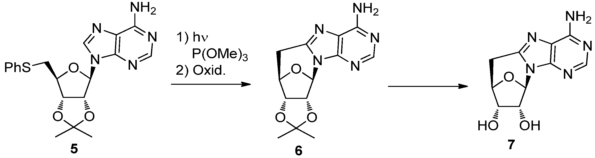 Molecules 17 11630 g006