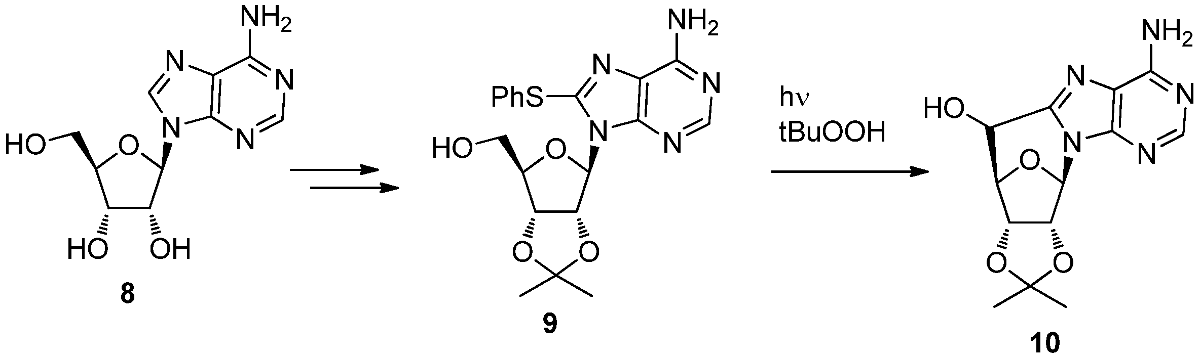 Molecules 17 11630 g007