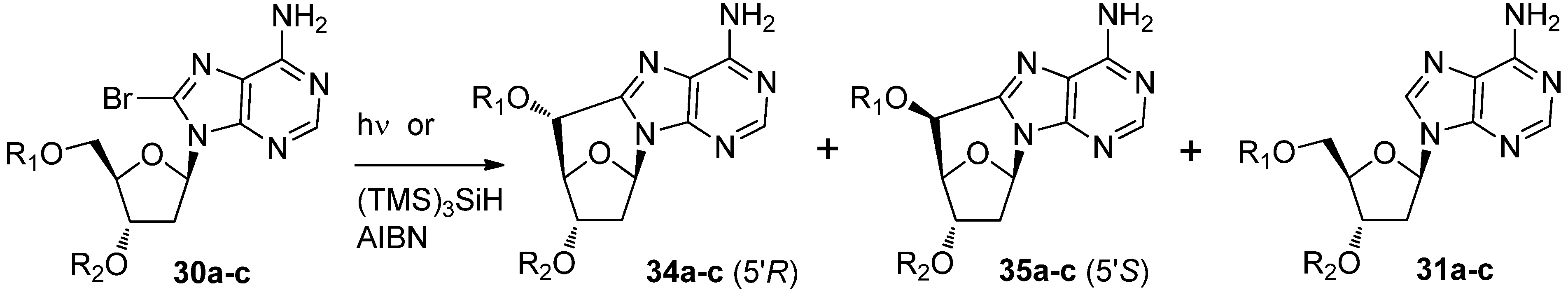 Molecules 17 11630 g013