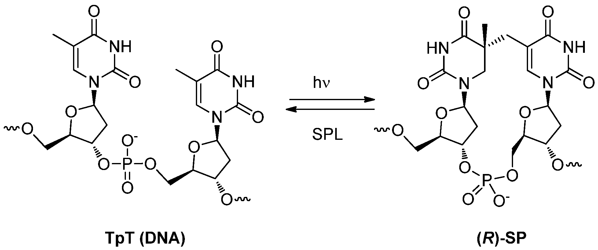 Molecules 17 11630 g019