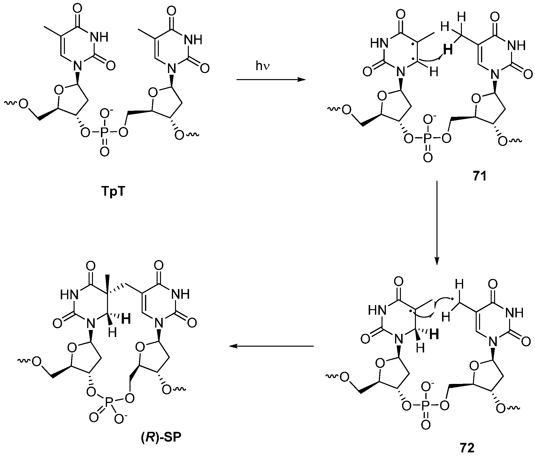 Molecules 17 11630 g021