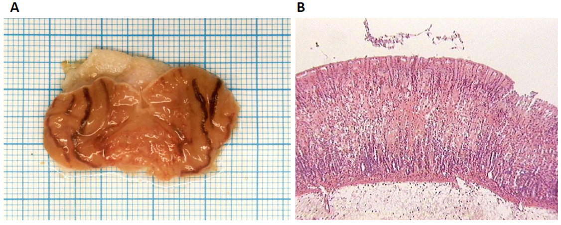 Molecules 17 11680 g002