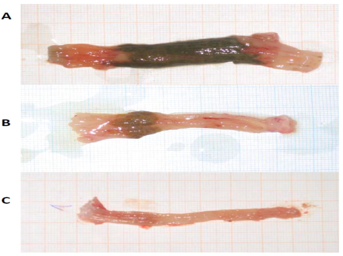Molecules 17 11680 g004