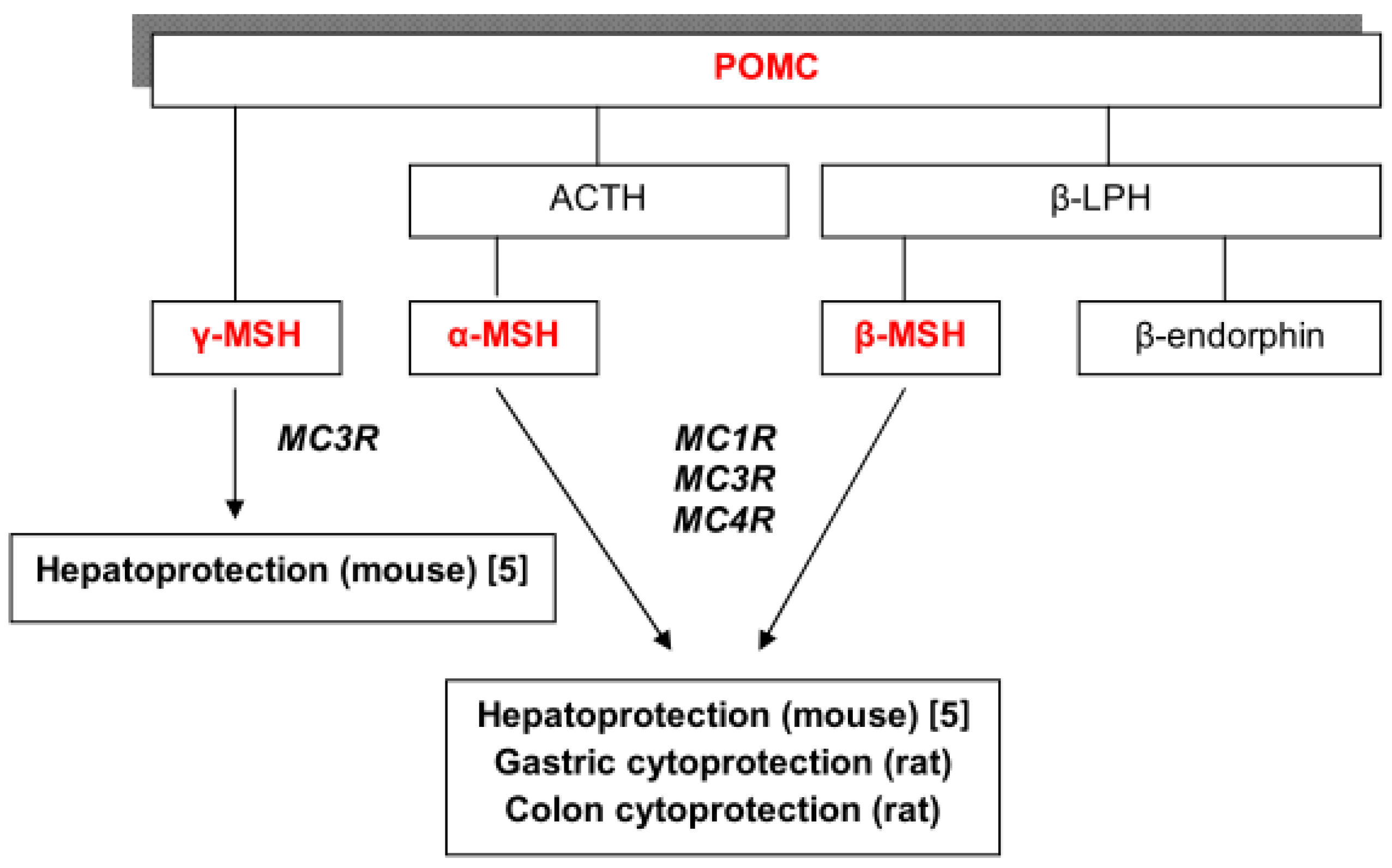 Molecules 17 11680 g006