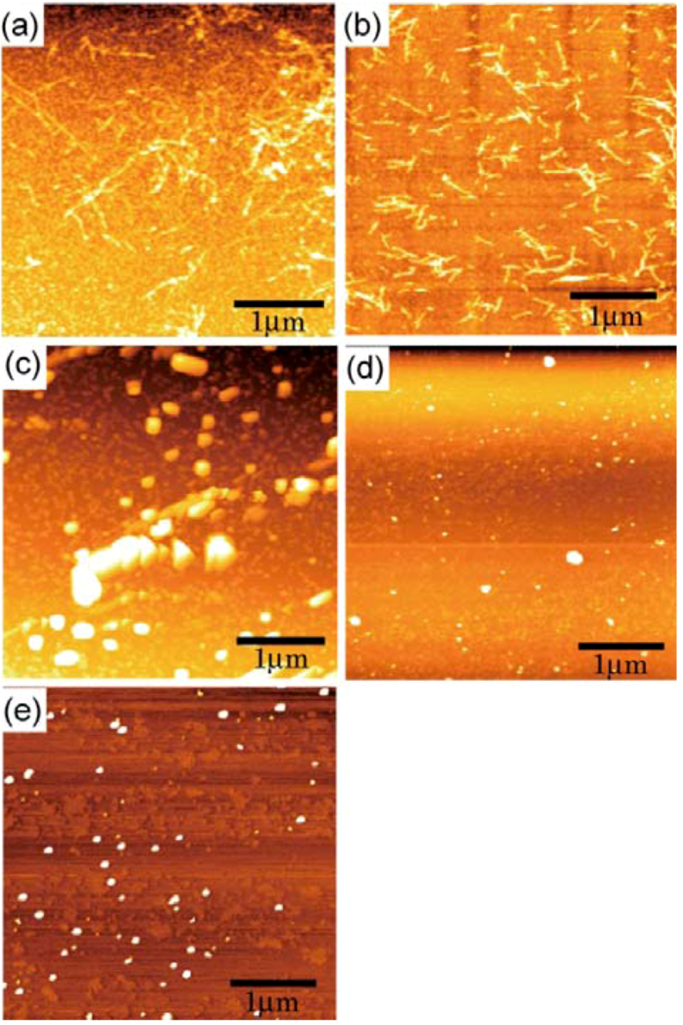 Molecules 17 11877 g006