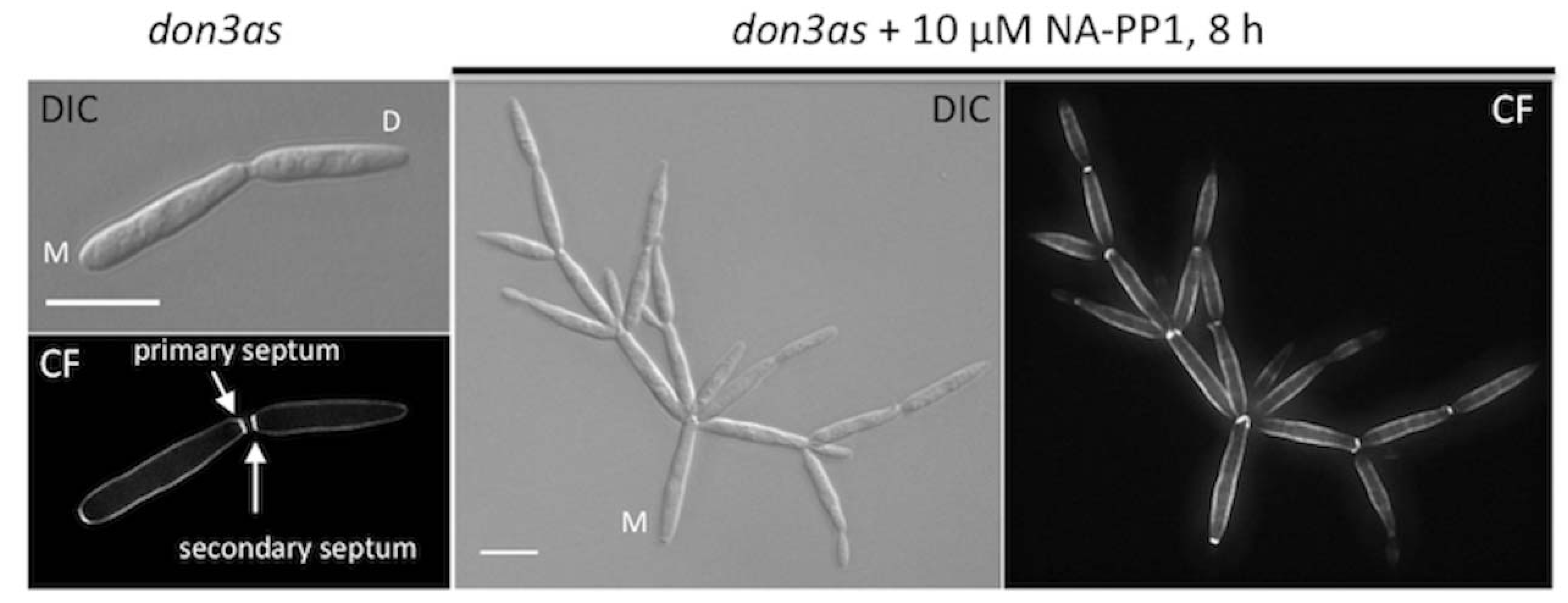 Molecules 17 11920 g001 550