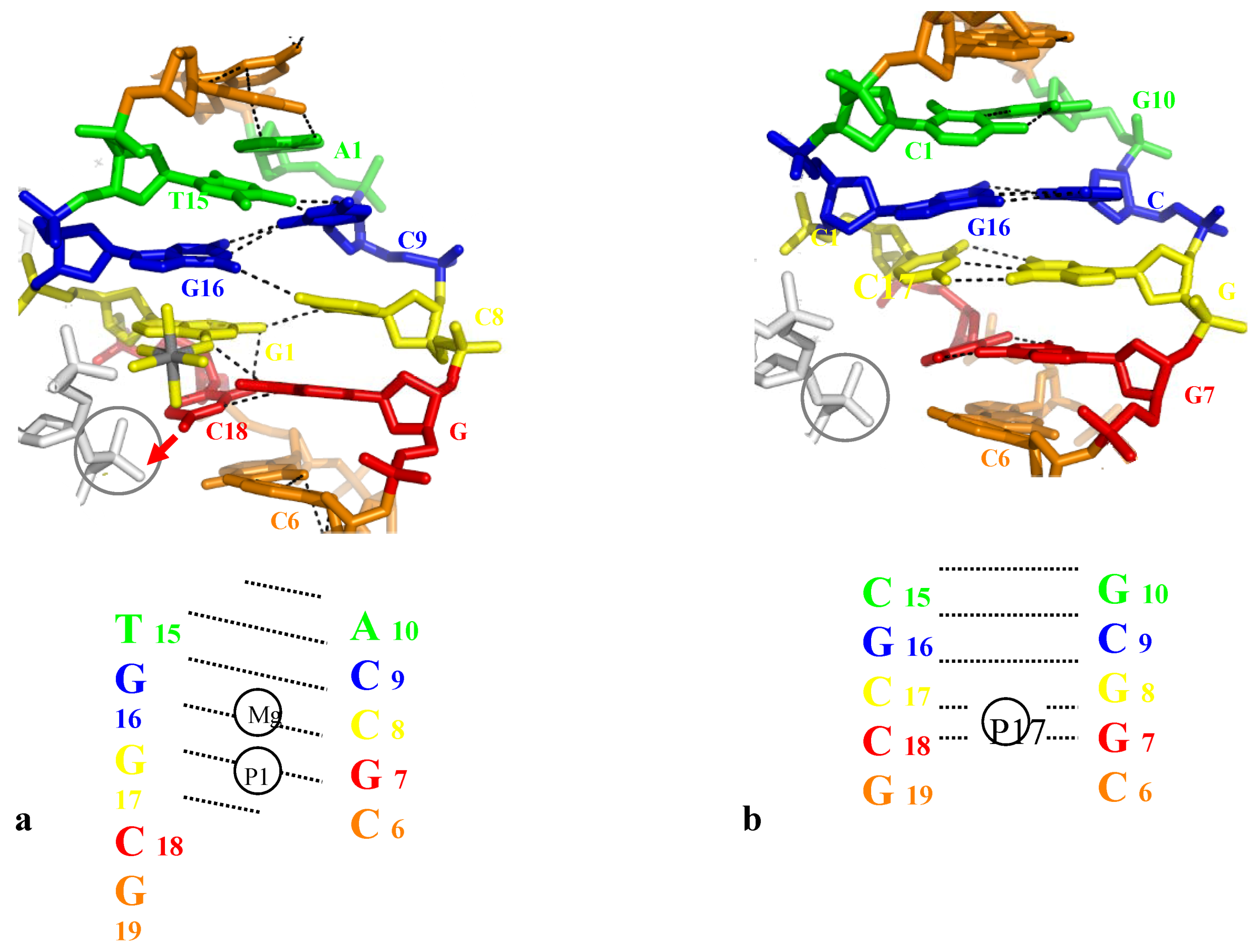 DNA sequence. Код ДНК. Human DNA sequence. Blast DNA sequence.