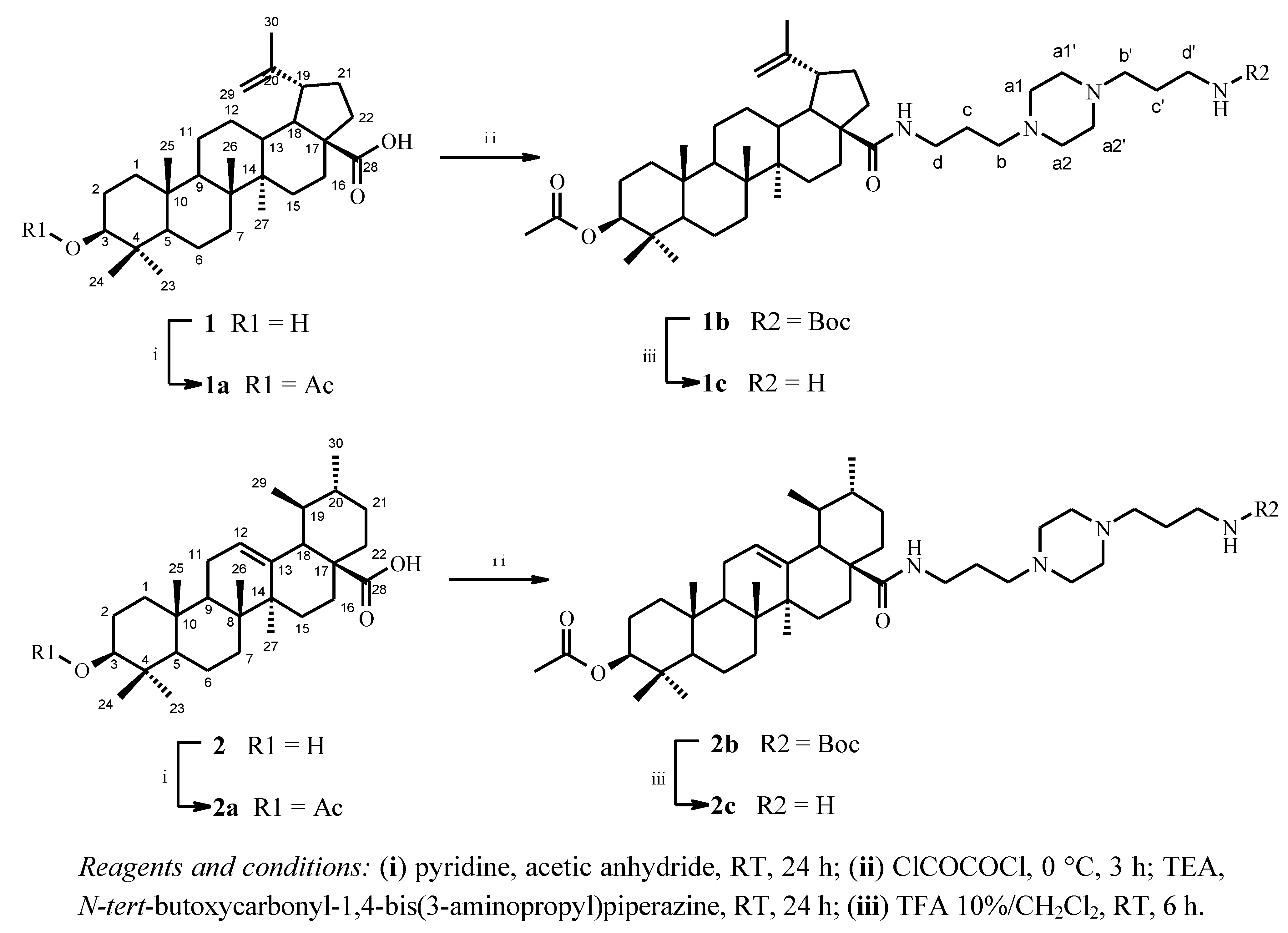 Molecules 17 12003 g004 550
