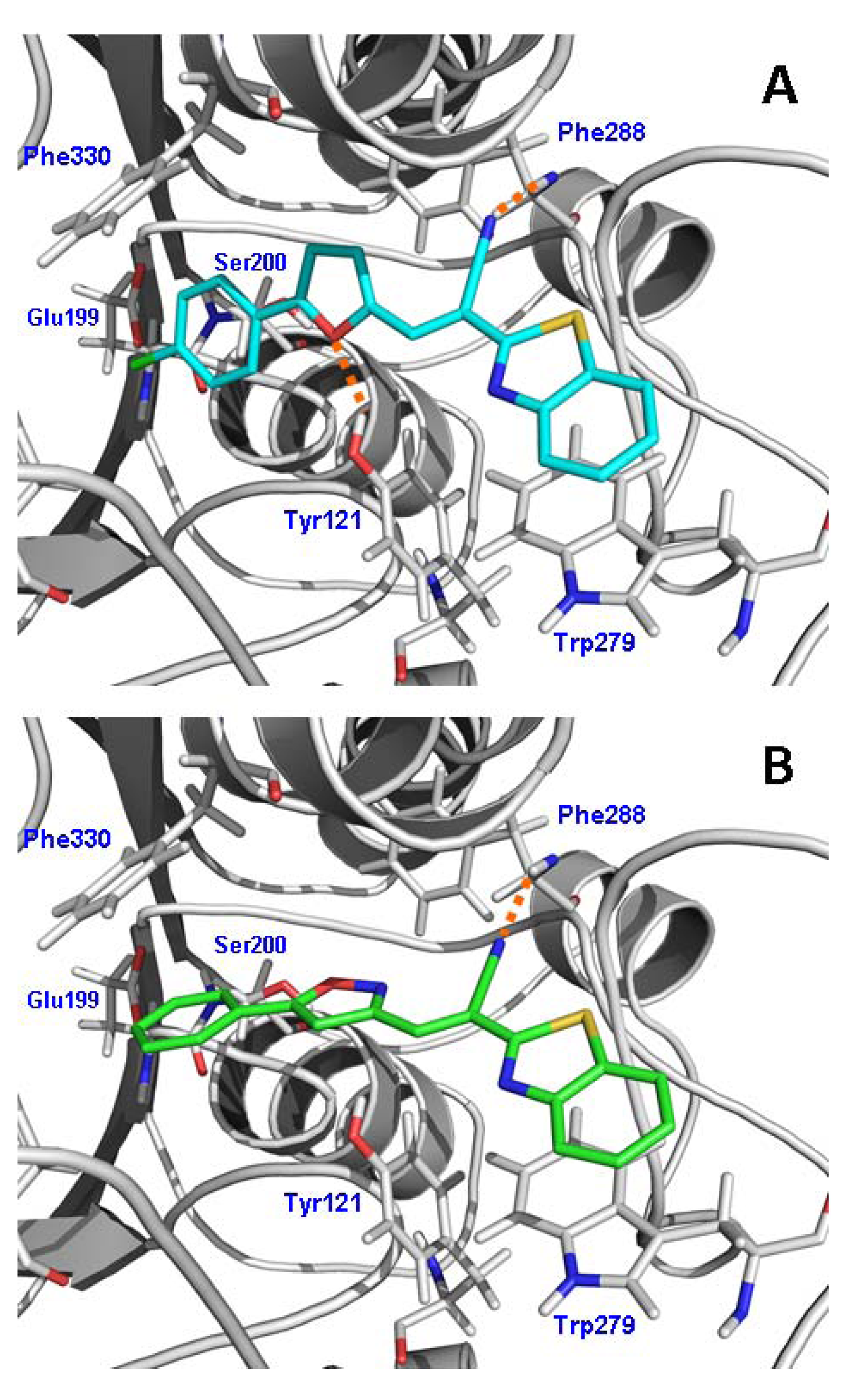 Molecules 17 12072 g005