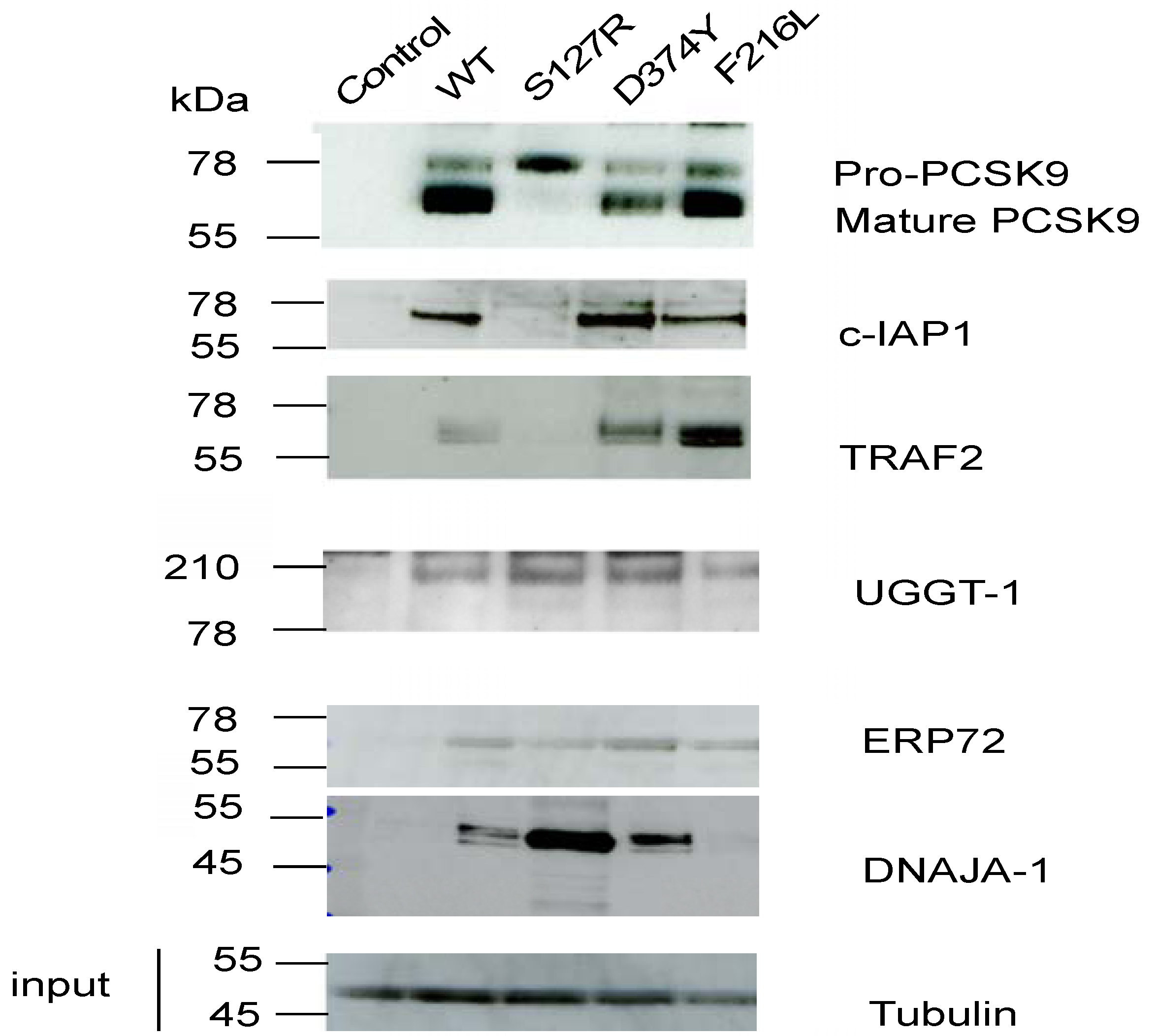 Molecules 17 12086 g001 550