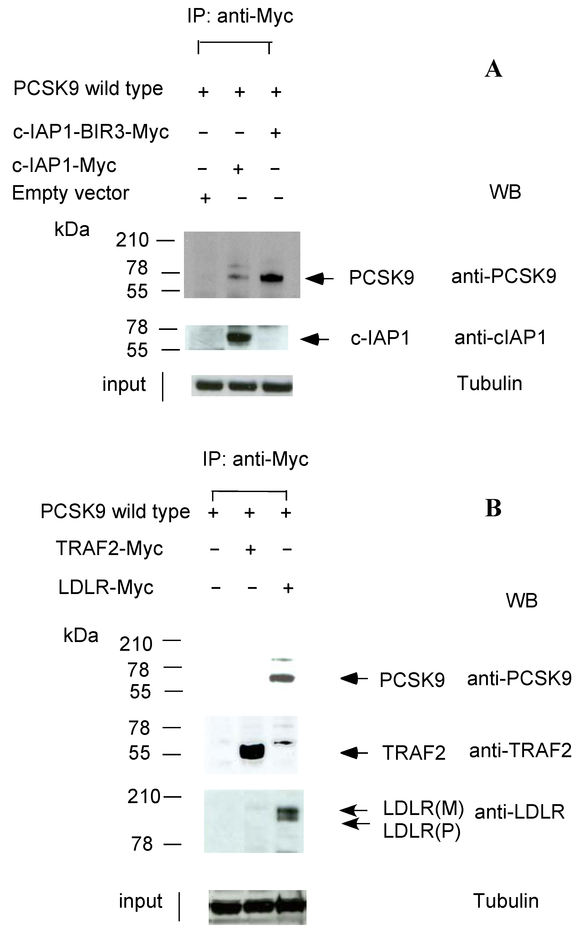 Molecules 17 12086 g002 550