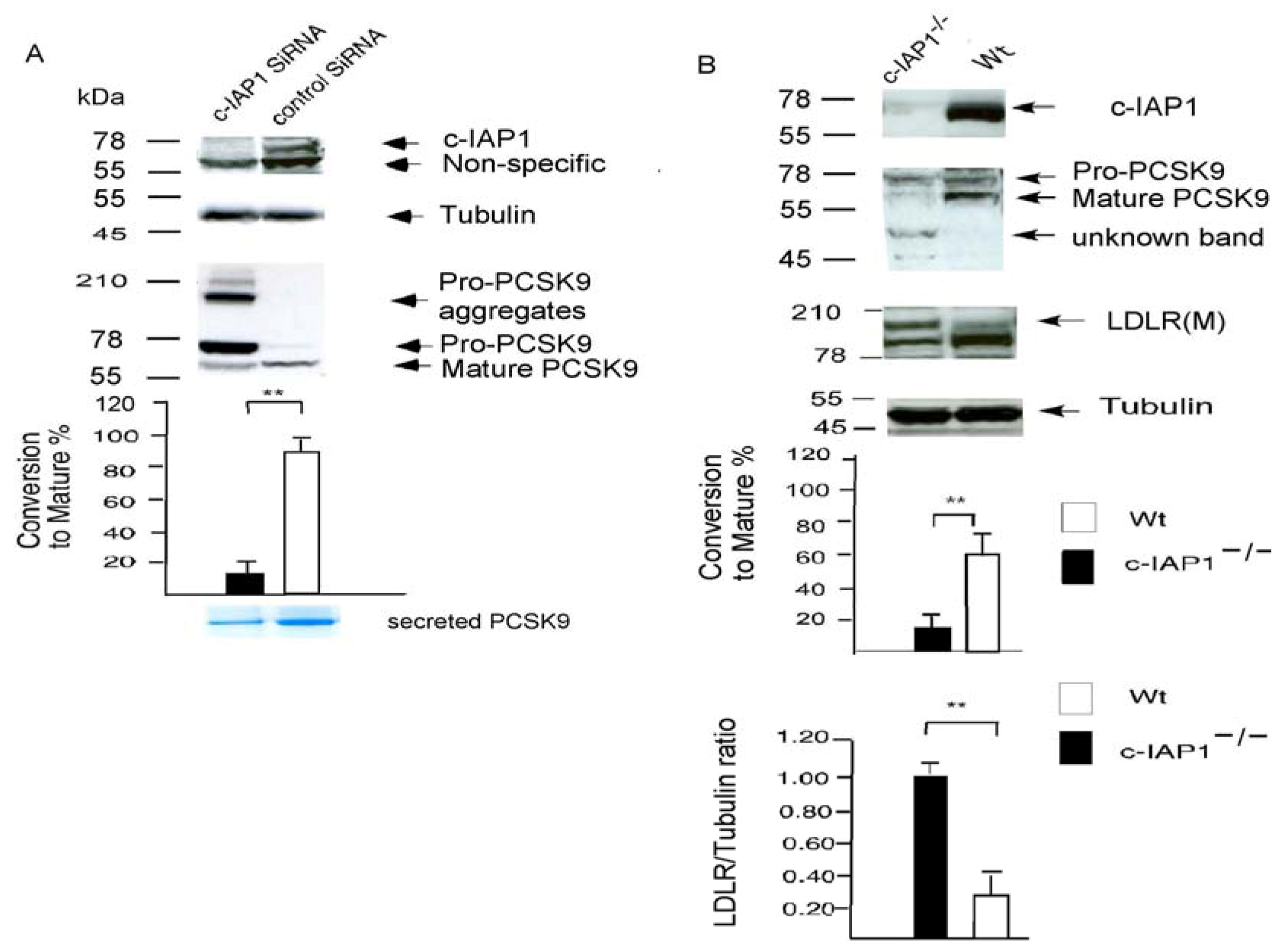 Molecules 17 12086 g003 550