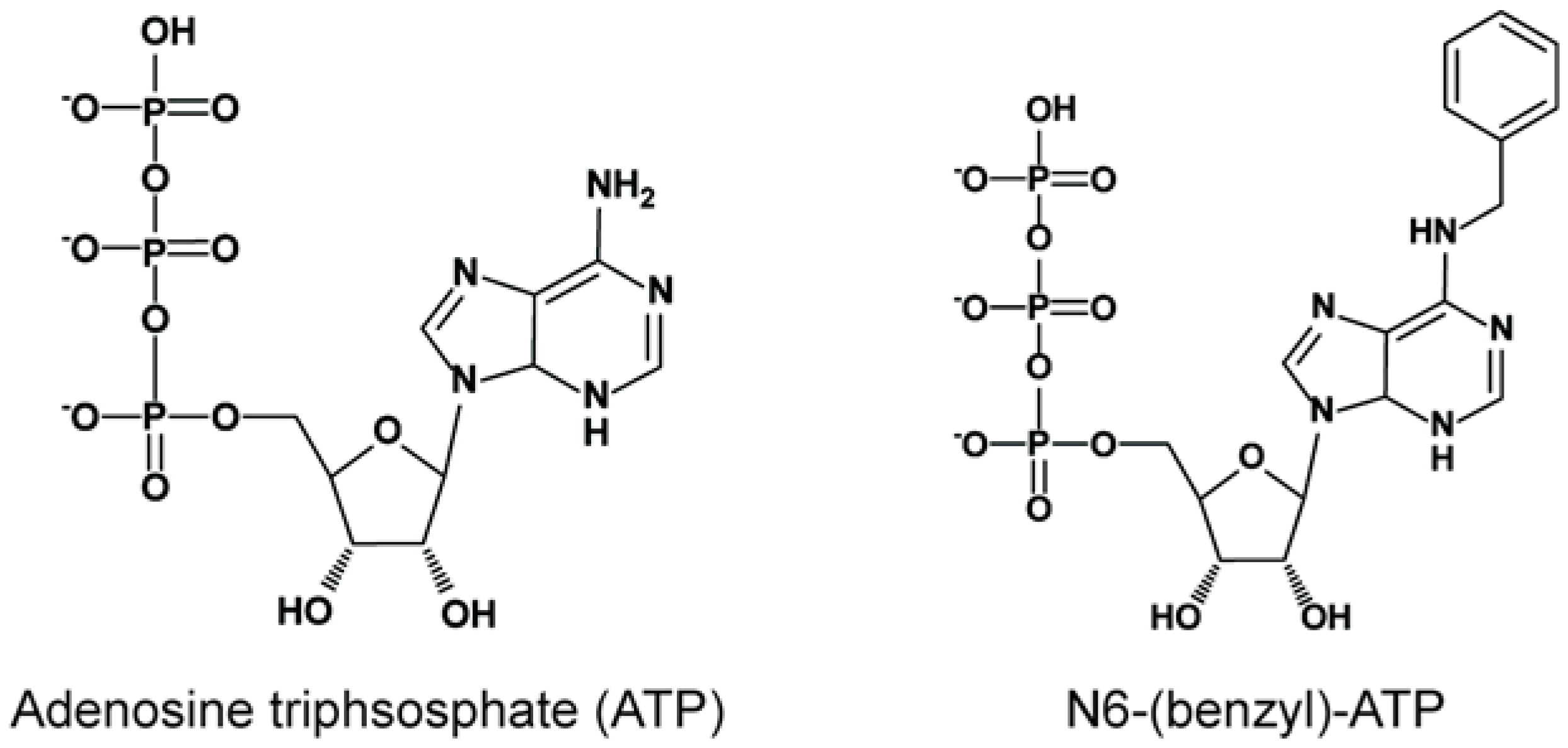 Molecules 17 12172 g002 550