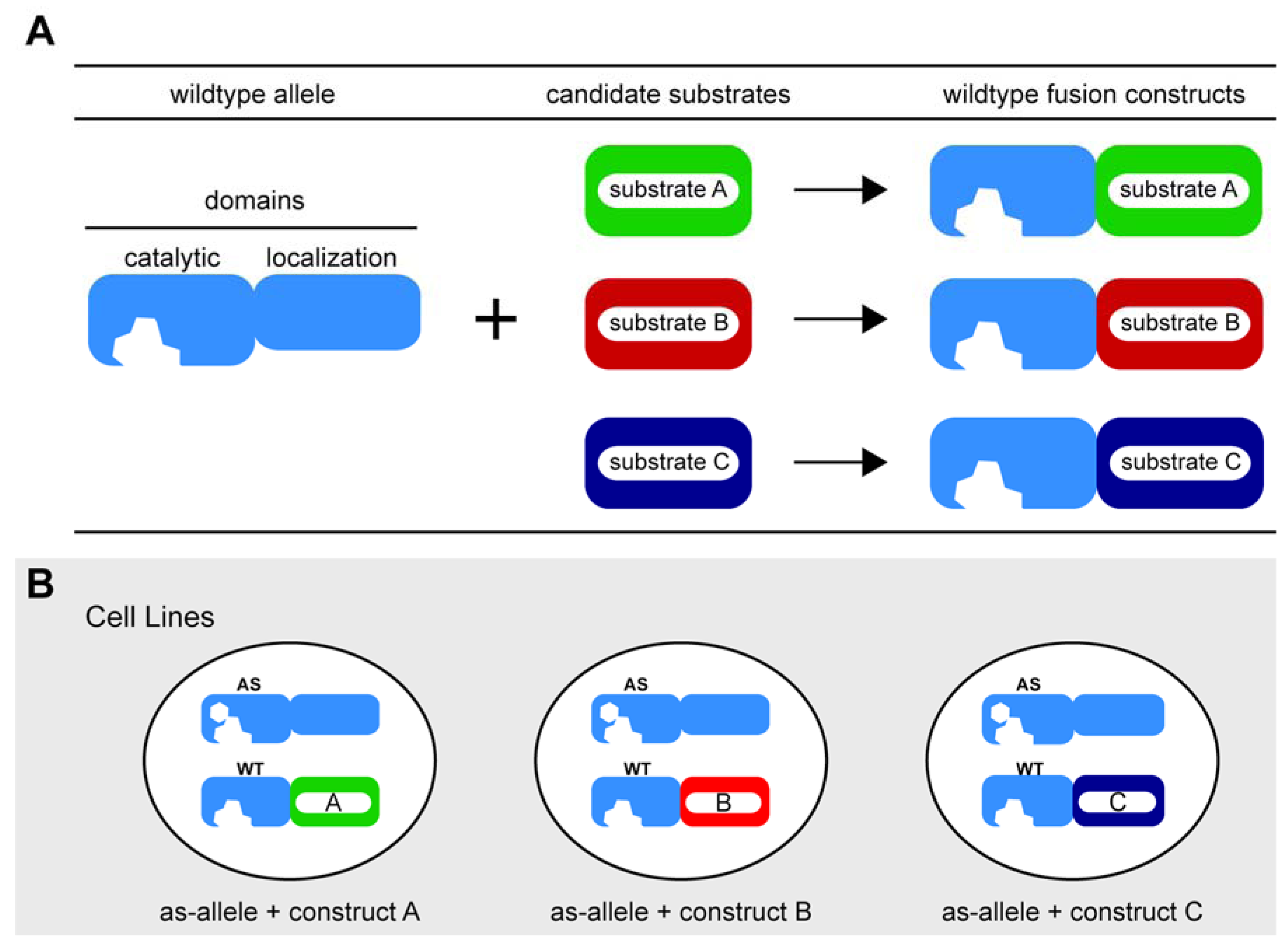 Molecules 17 12172 g003 550