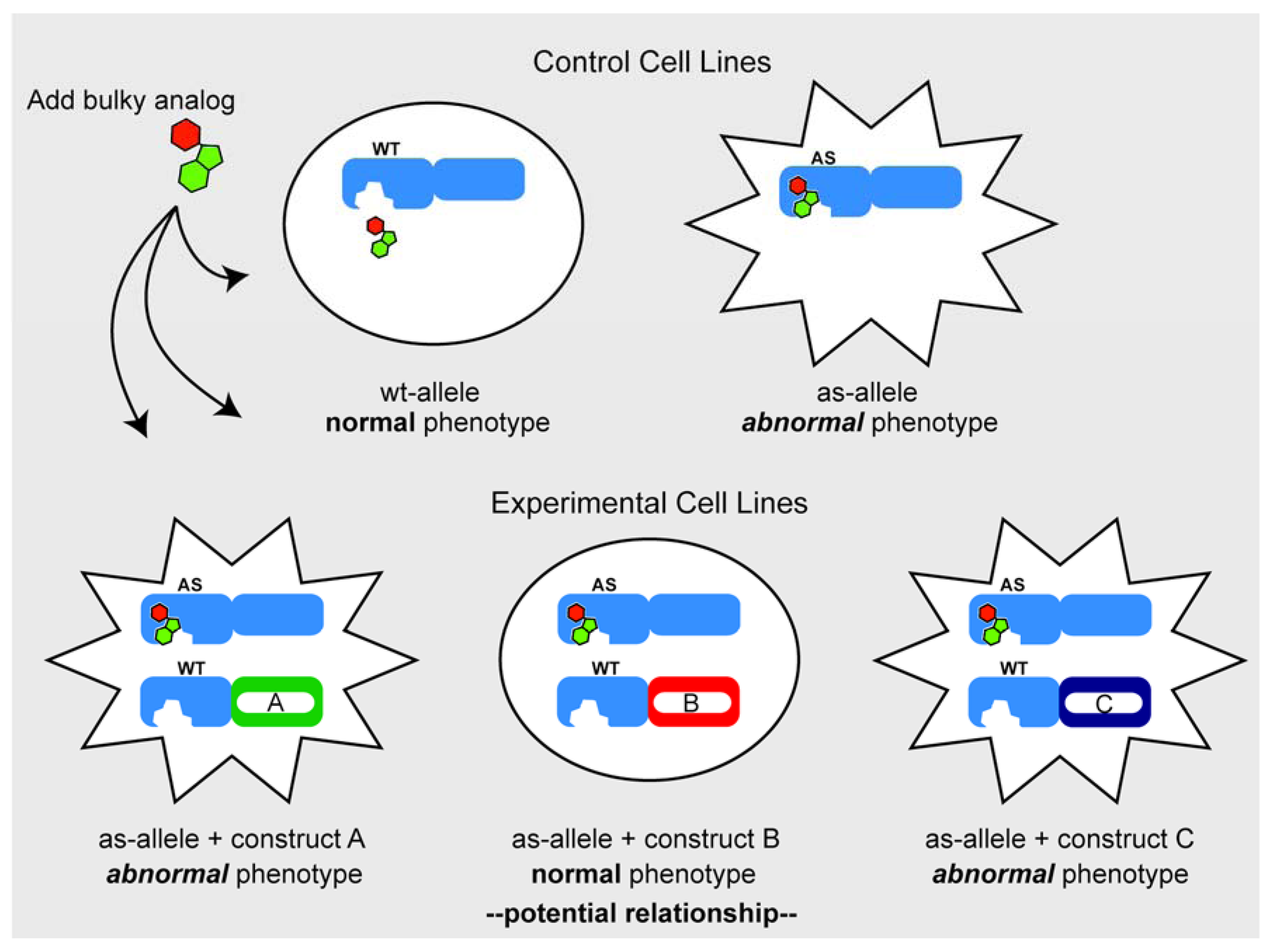 Molecules 17 12172 g004 550