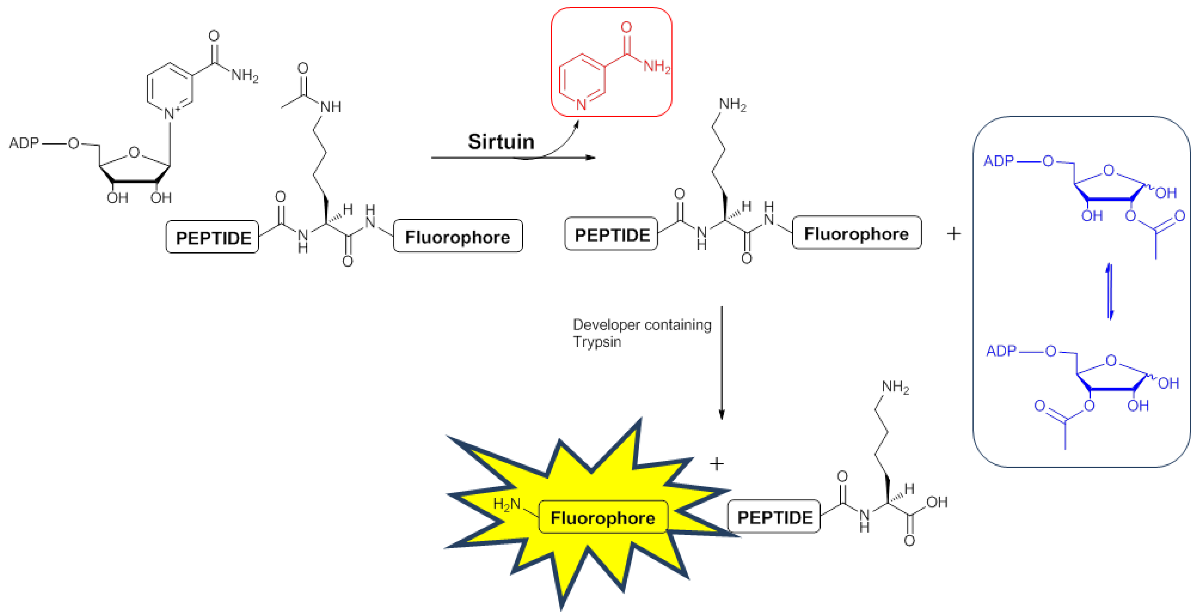 Molecules 17 12206 g001