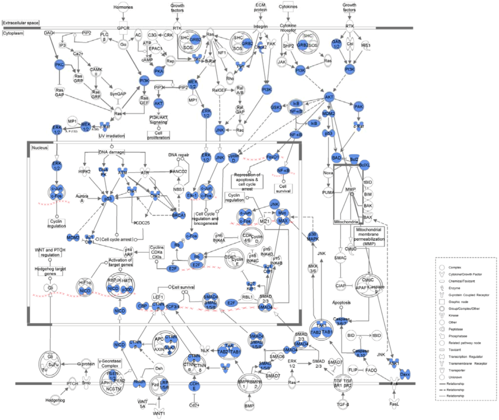 Molecules 17 12406 g002 550
