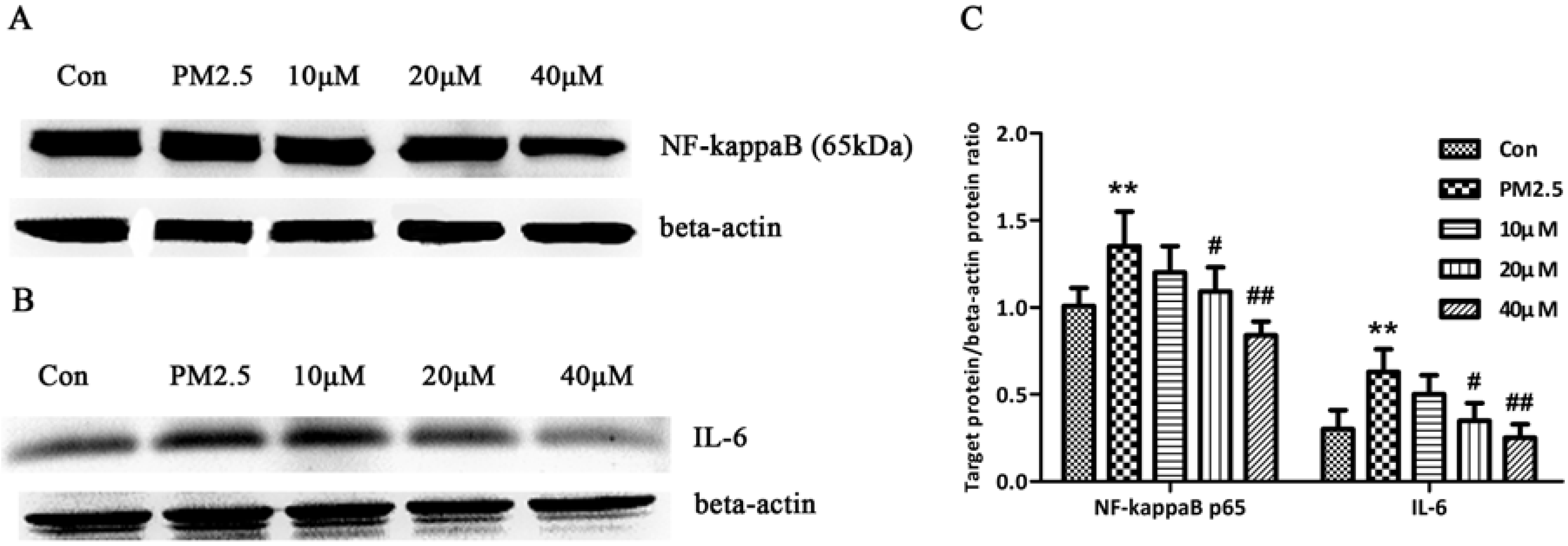 Molecules 17 12406 g006 550