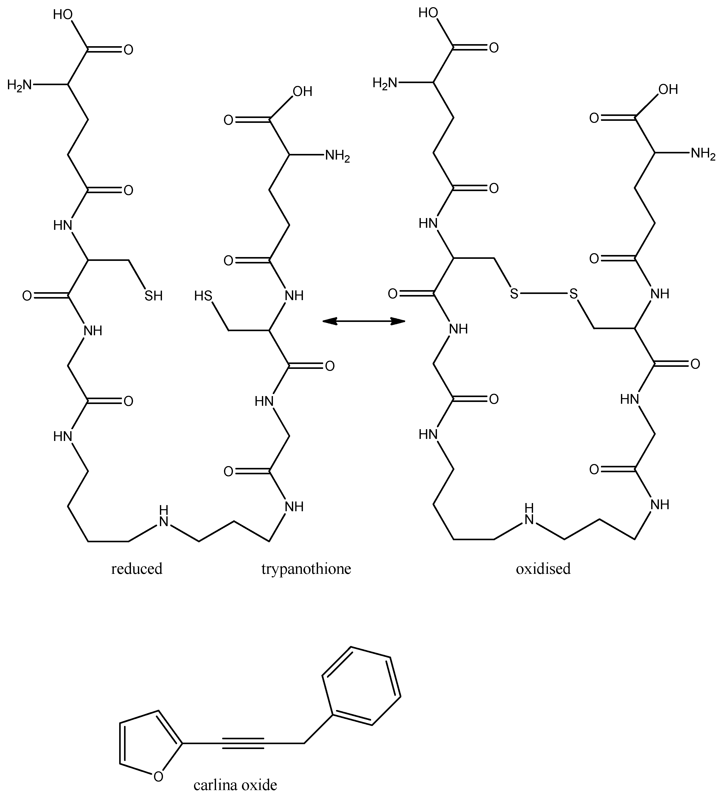 Molecules 17 12771 g005