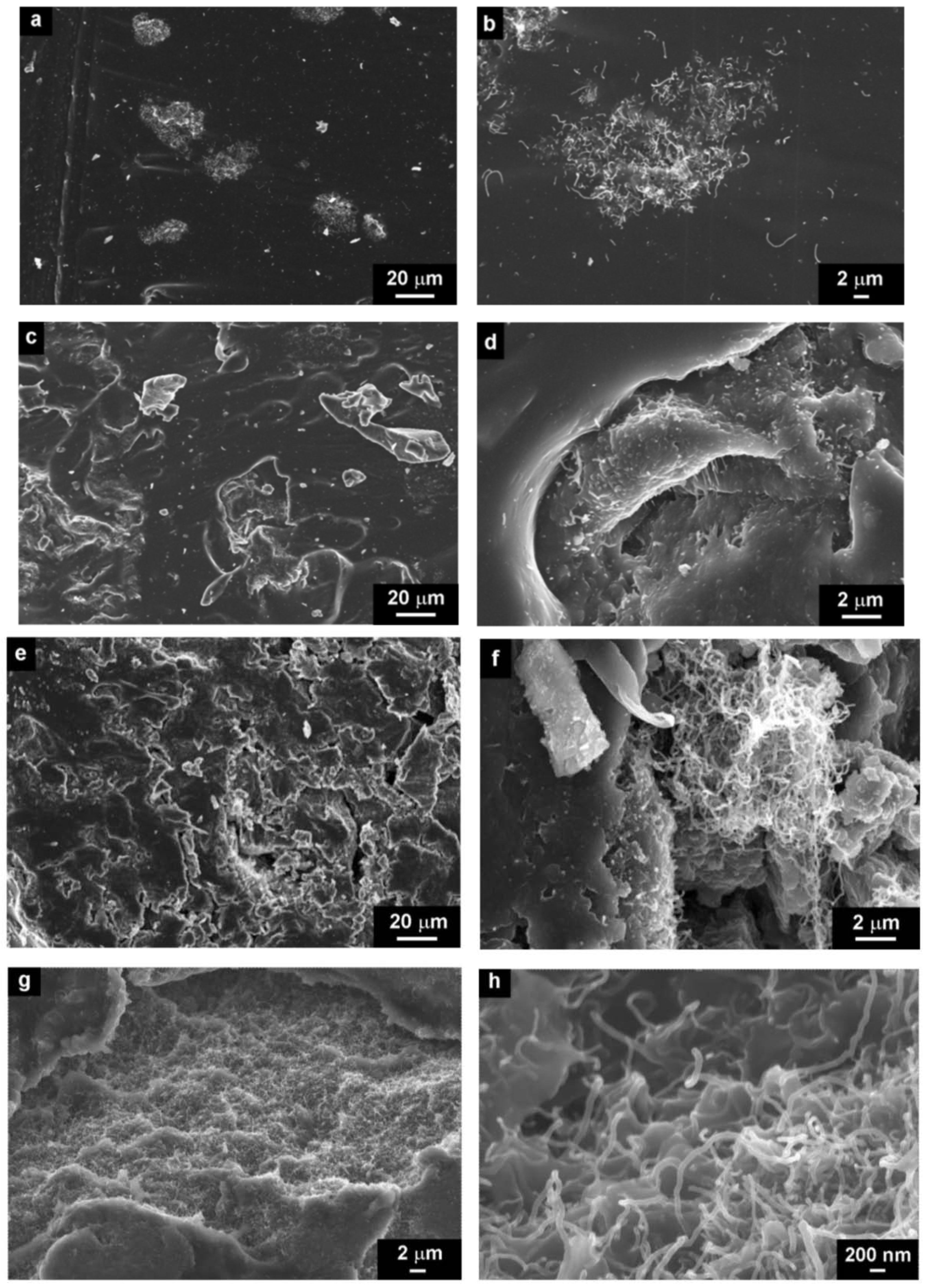 Molecules 17 13157 g004 550